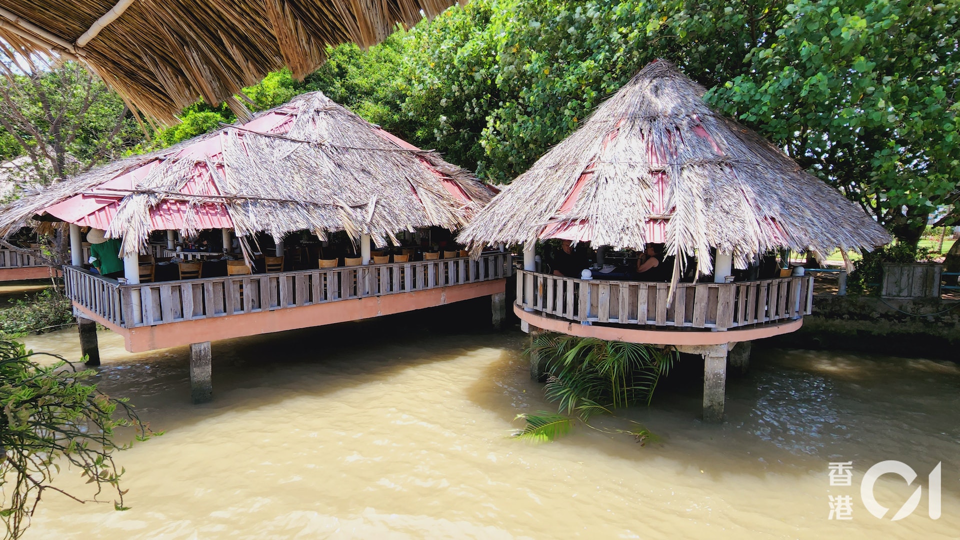 (何以諾攝) (何以諾攝)