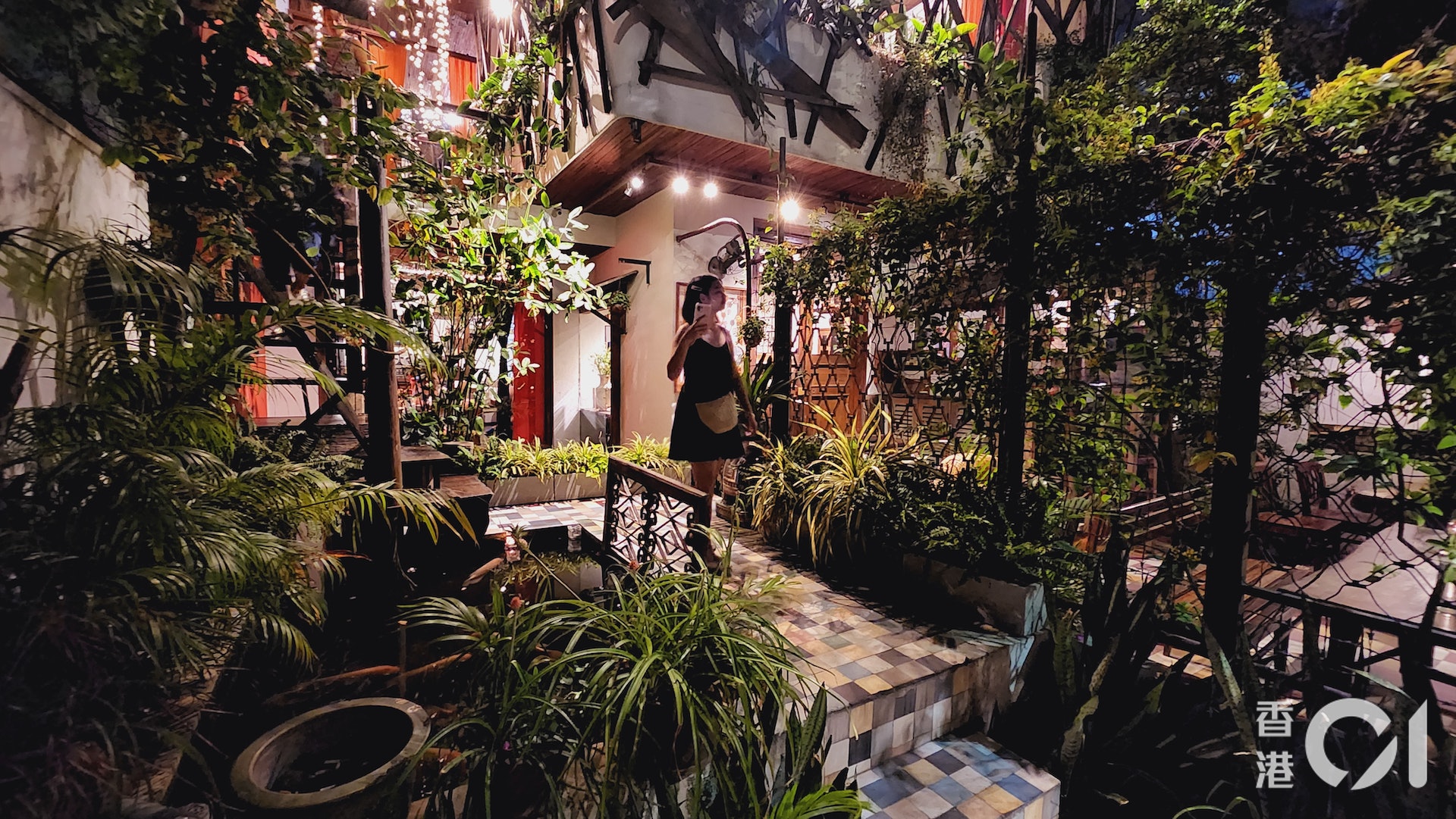 (何以諾攝) (何以諾攝)