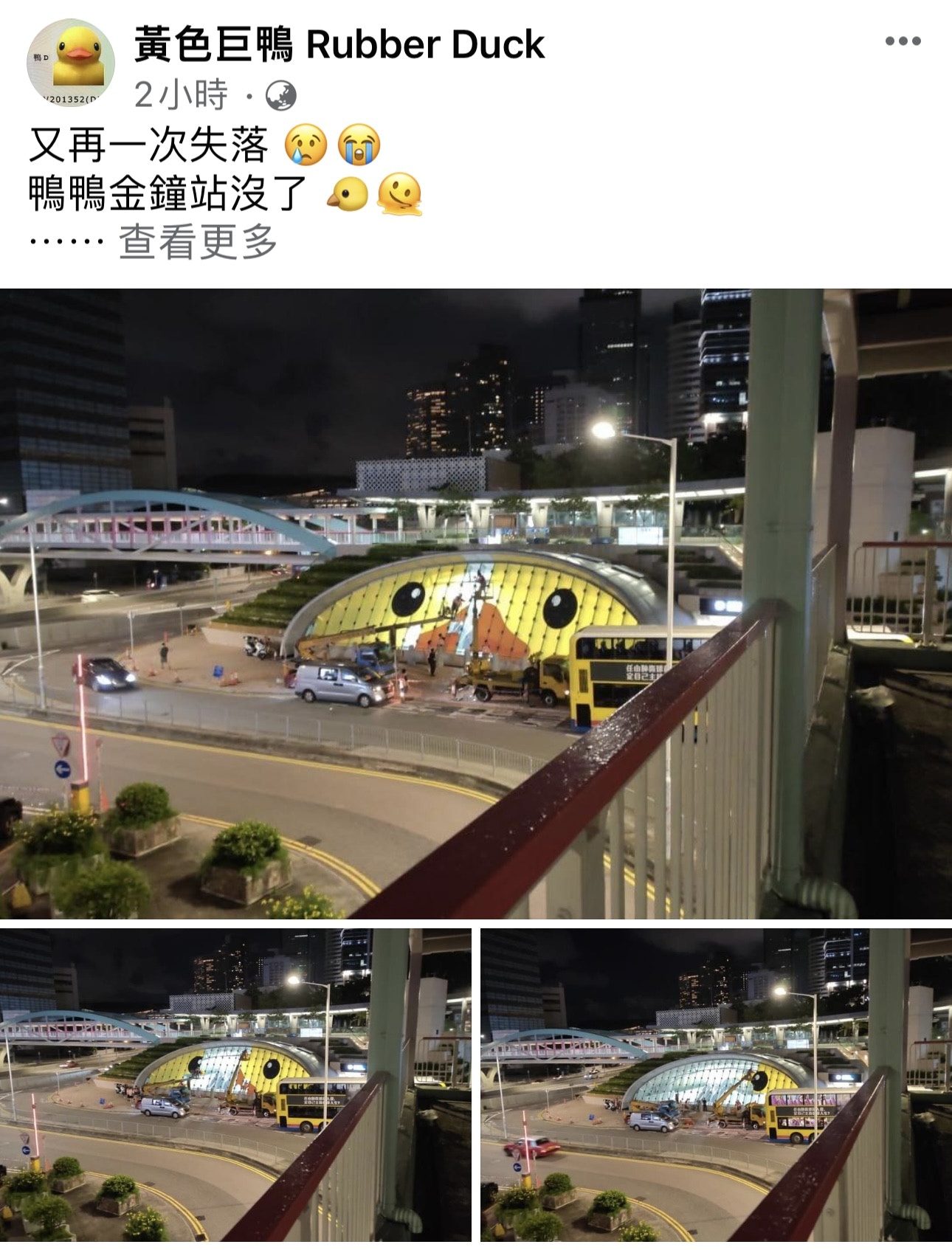 （圖片來源︰黃色巨鴨 Rubber Duck FB專頁）