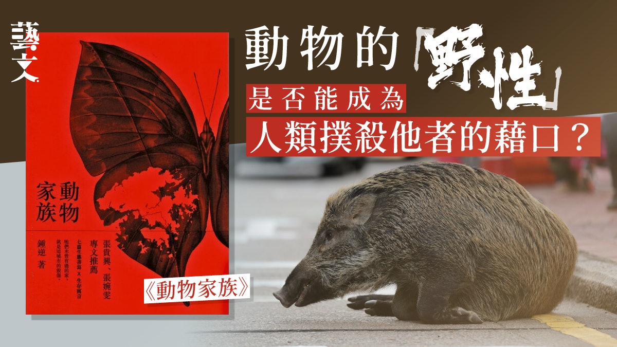 以文學帶出倫理議題——人類有權掌握動物的生存權利嗎?|開卷樂 以文學帶出倫理議題——人類有權掌握動物的生存權利嗎?|開卷樂