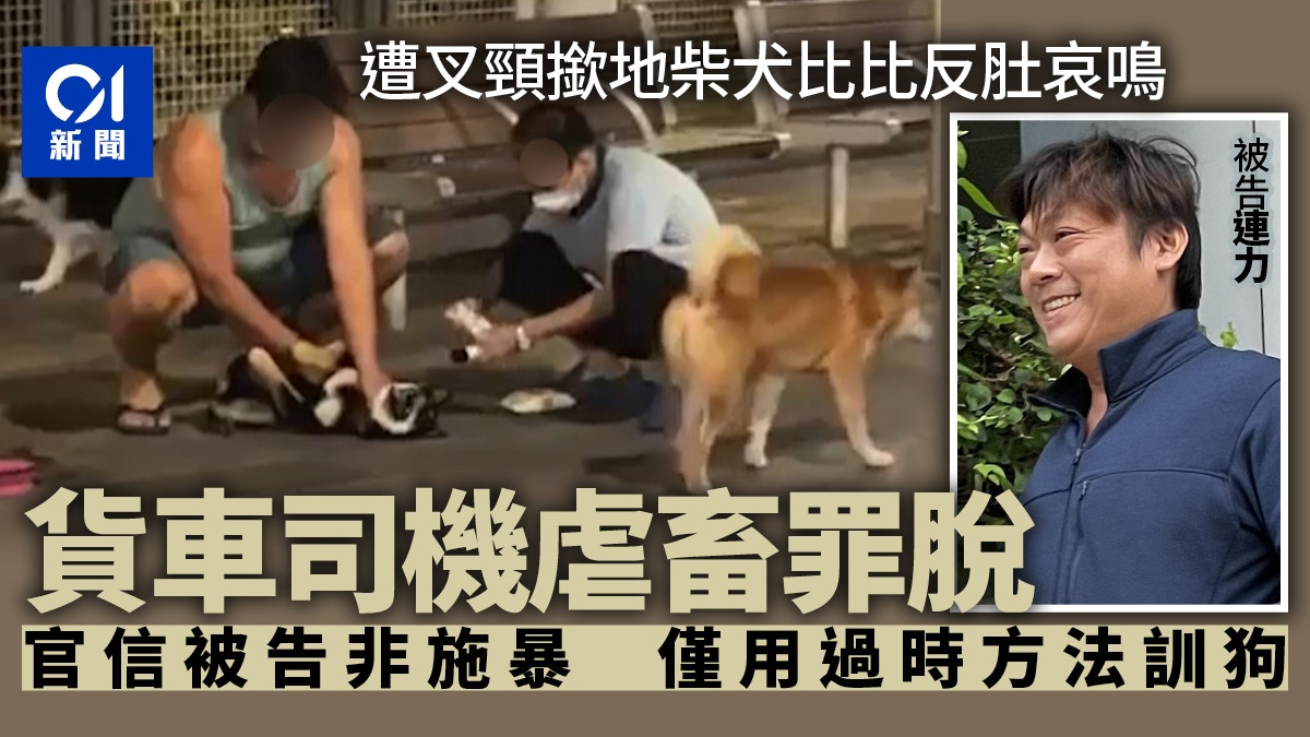 司機涉反轉柴犬比比官信被告或用過時方法控制狗隻裁虐畜罪脫