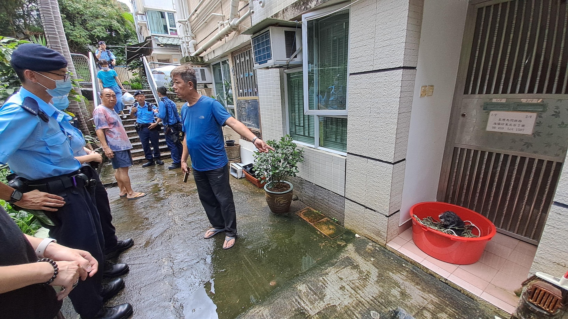 小狗被困外牆簷篷,由消防員救起。 小狗被困外牆簷篷,由消防員救起。