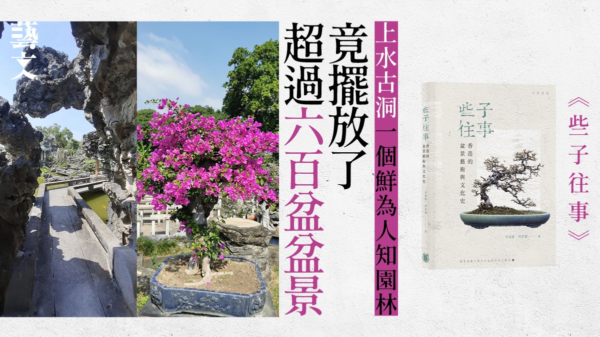 盆景和香港歷史息息相關?《些子往事》從石苑回顧香港|開卷樂 盆景和香港歷史息息相關?《些子往事》從石苑回顧香港|開卷樂