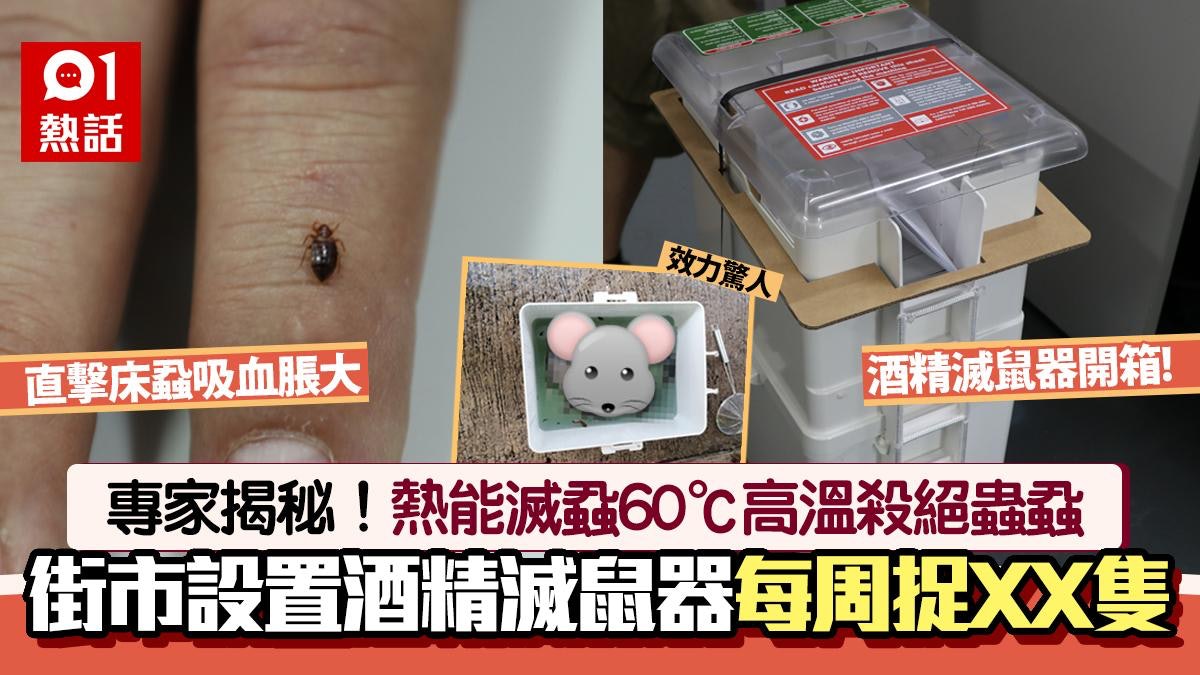 滅蝨滅鼠│60℃熱能殺絕床蝨 酒精滅鼠器放街市咁勁?專家解構原理 滅蝨滅鼠│60℃熱能殺絕床蝨 酒精滅鼠器放街市咁勁?專家解構原理