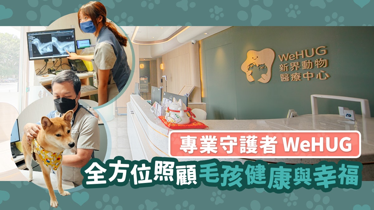 24小時獸醫診所|新界西WeHUG同理同心 貓友善診所 守護毛孩健康 24小時獸醫診所|新界西WeHUG同理同心 貓友善診所 守護毛孩健康