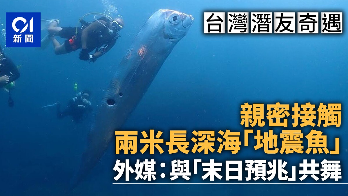 台灣東北角淺海拍得2m長地震魚紅到國外 外媒:與末日預兆共舞 台灣東北角淺海拍得2m長地震魚紅到國外 外媒:與末日預兆共舞