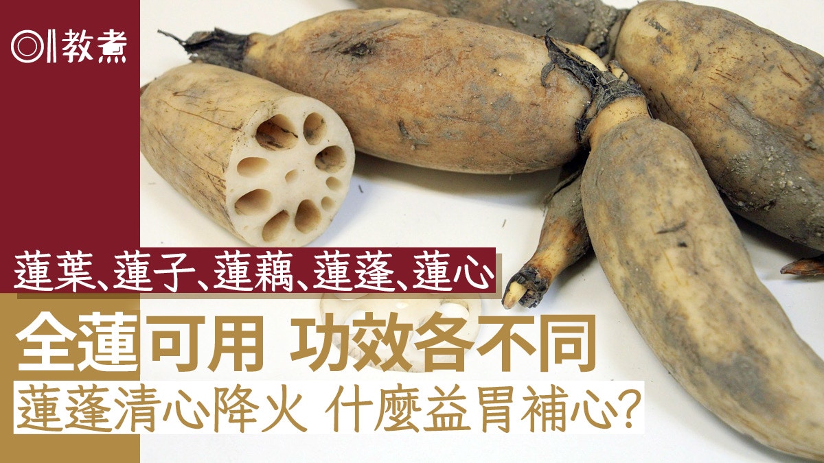 蓮藕營養｜蓮葉 蓮子 蓮藕 蓮蓬...功效各不同　降火強精宜吃哪種