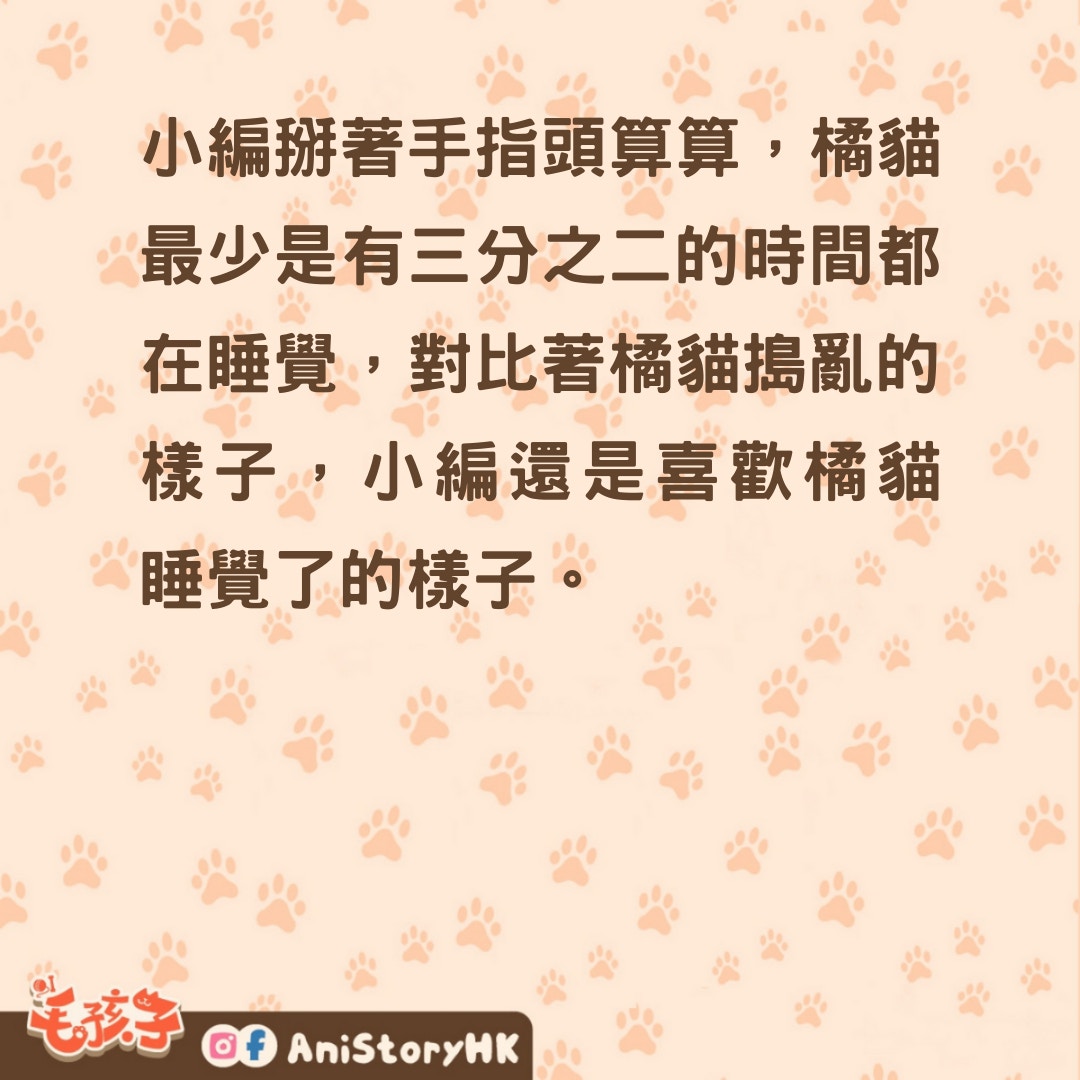 貓貓冷知識｜橘貓睡眠時間大揭秘睡眠時長真的可達20小時？