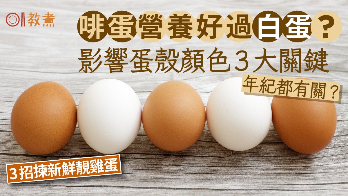 雞蛋冷知識|啡蛋營養好過白蛋?影響蛋殼顏色3大鍵母雞年紀有關? 雞蛋冷知識|啡蛋營養好過白蛋?影響蛋殼顏色3大鍵母雞年紀有關?