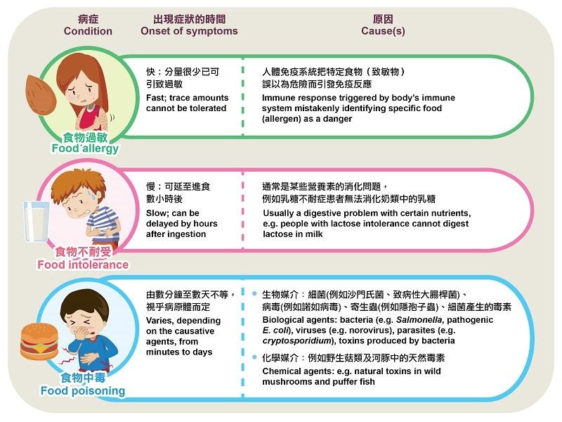 食物不耐症、食物過敏、食物中毒的分別（食物安全中心）