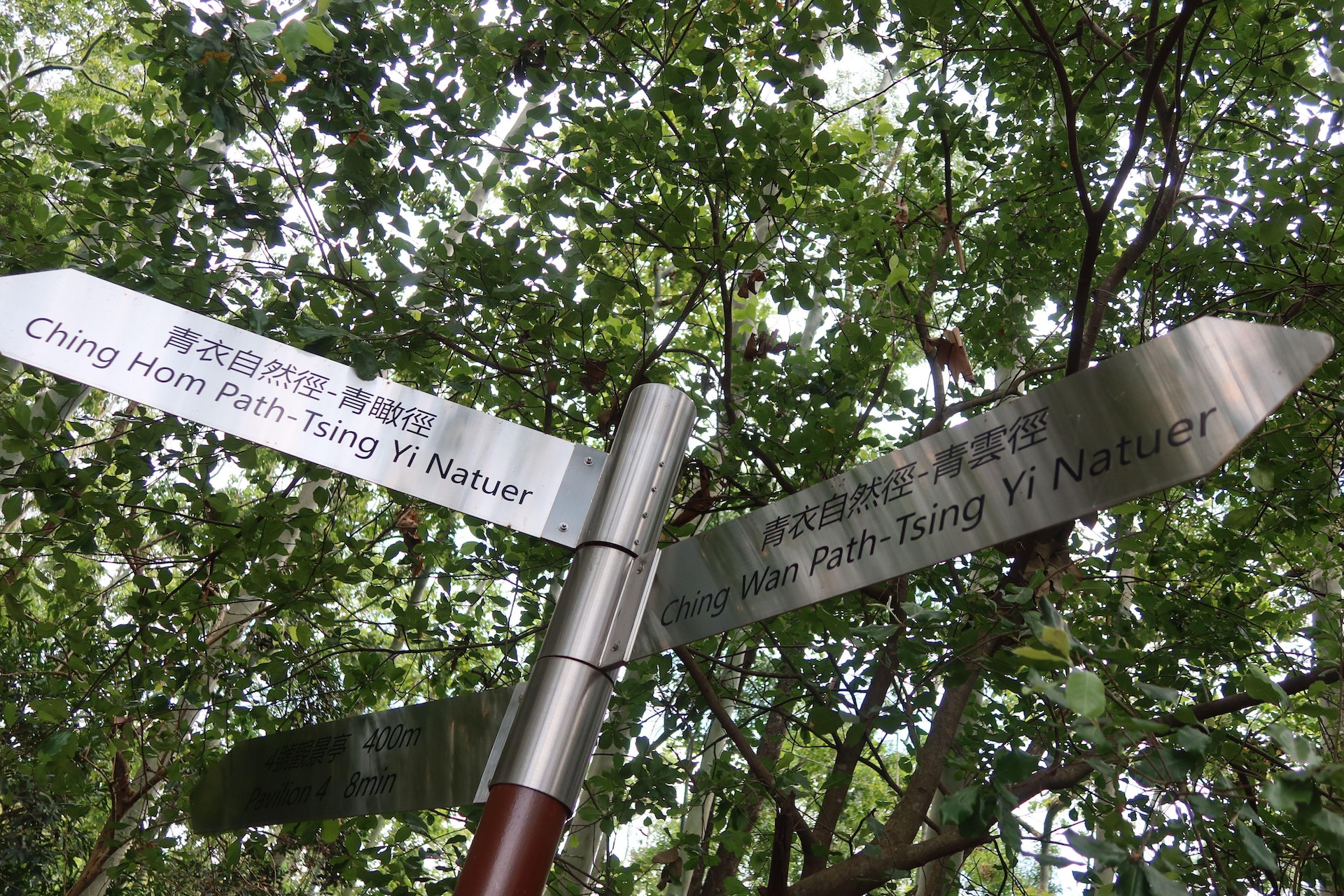 青衣自然徑的指示牌,串成「Tsing Yi Natuer」。(孔繁栩攝) 青衣自然徑的指示牌,串成「Tsing Yi Natuer」。(孔繁栩攝)