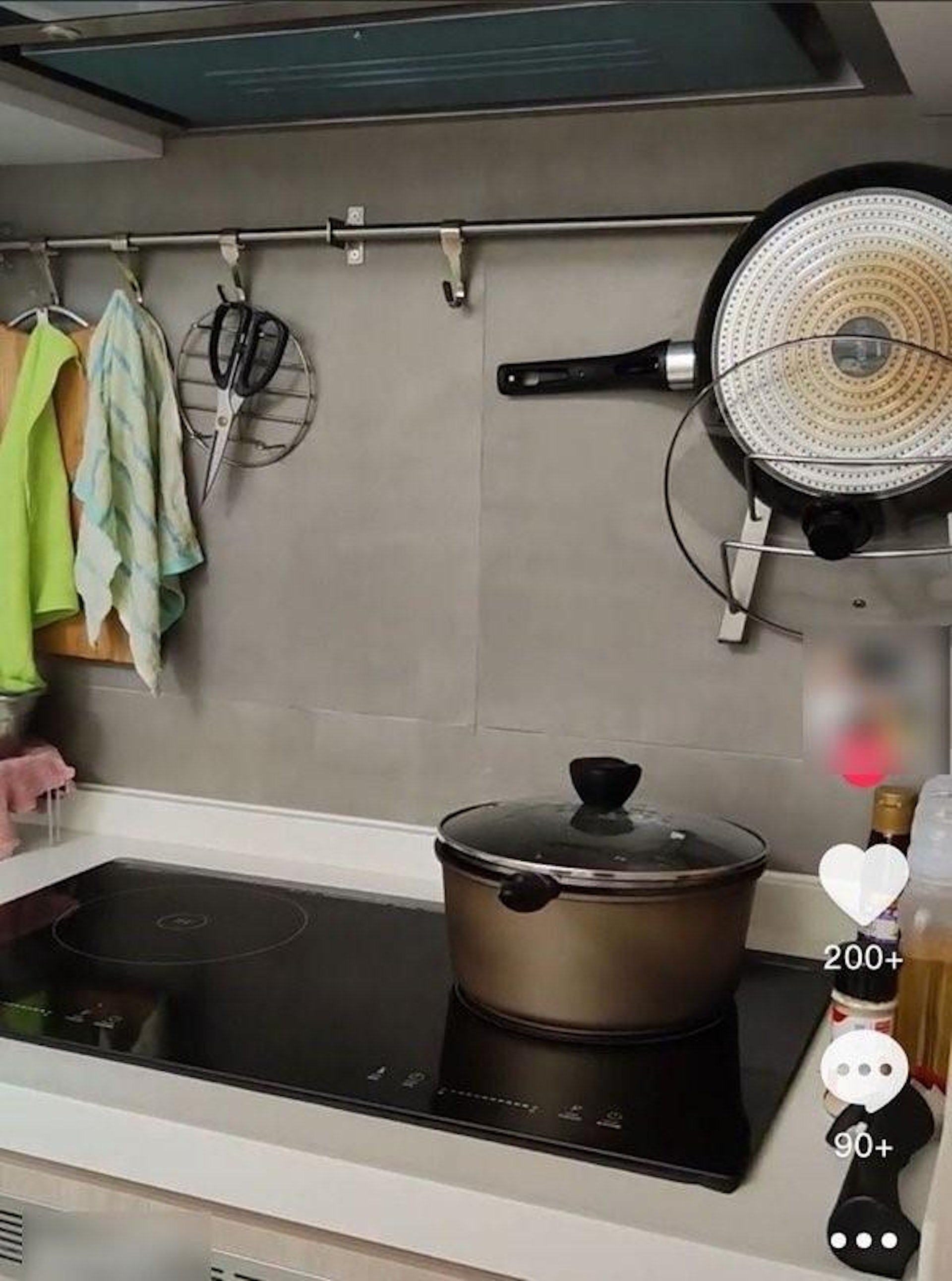 採用雙頭電磁爐煮食(抖音) 採用雙頭電磁爐煮食(抖音)