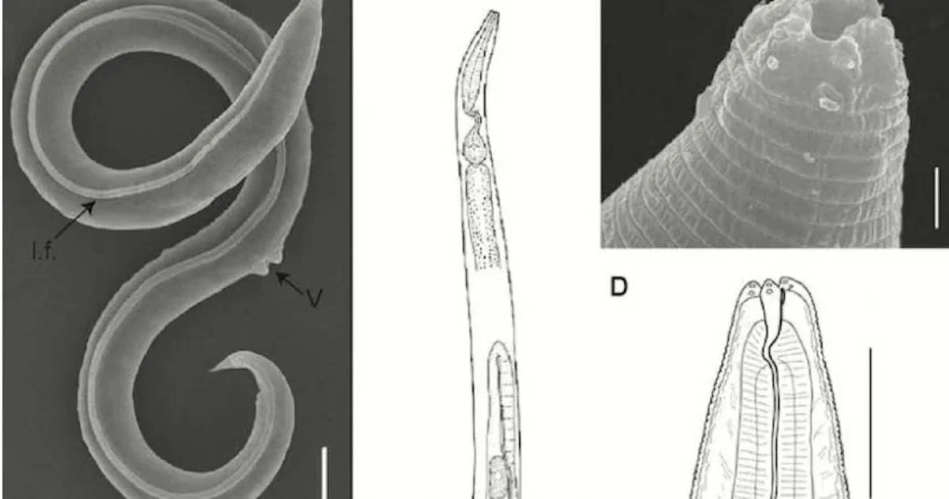圖片來源:PLOS Genetics 圖片來源:PLOS Genetics