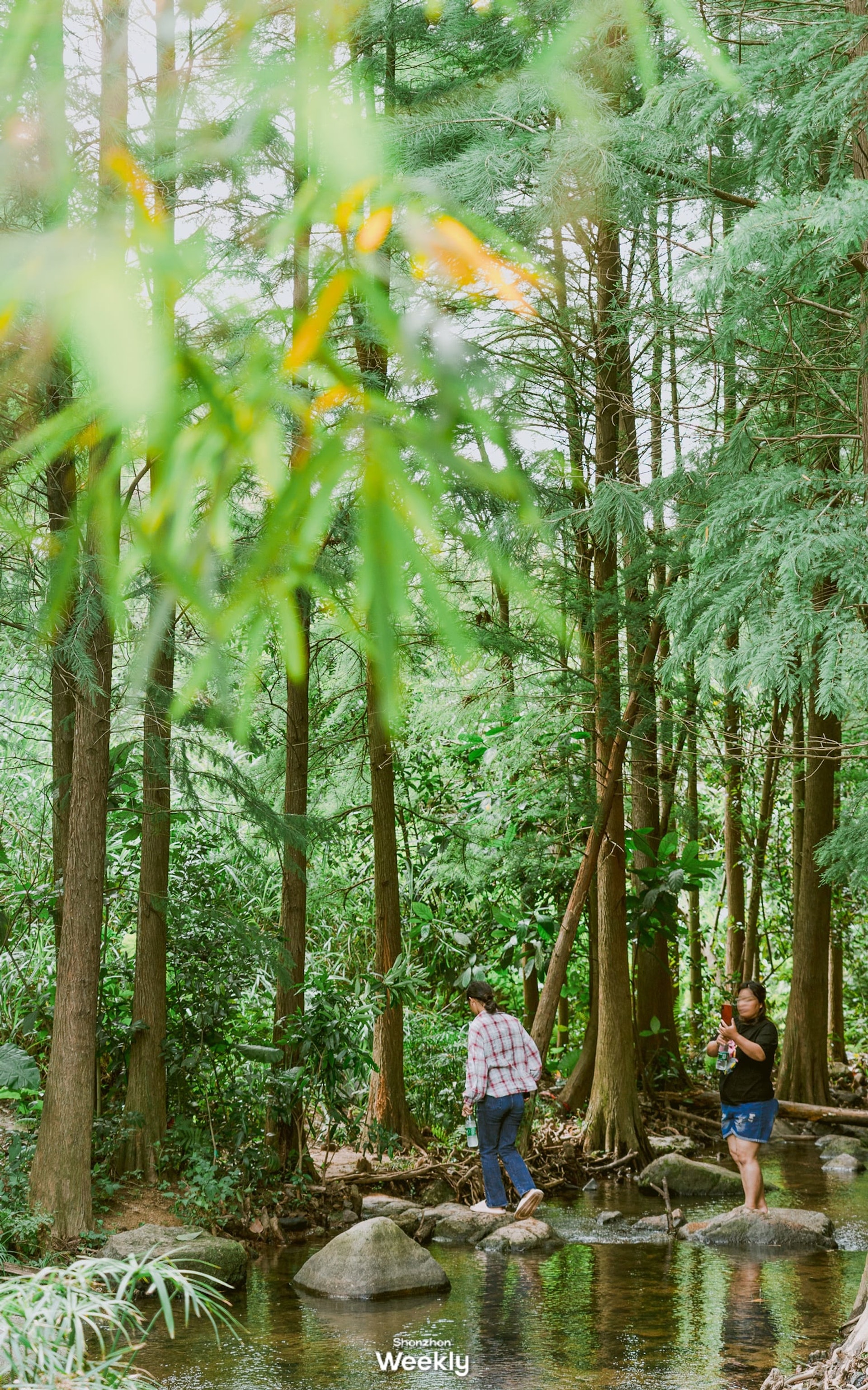 深圳坪山馬巒山郊野公園(ShenzhenWeekly授權使用) 深圳坪山馬巒山郊野公園(ShenzhenWeekly授權使用)