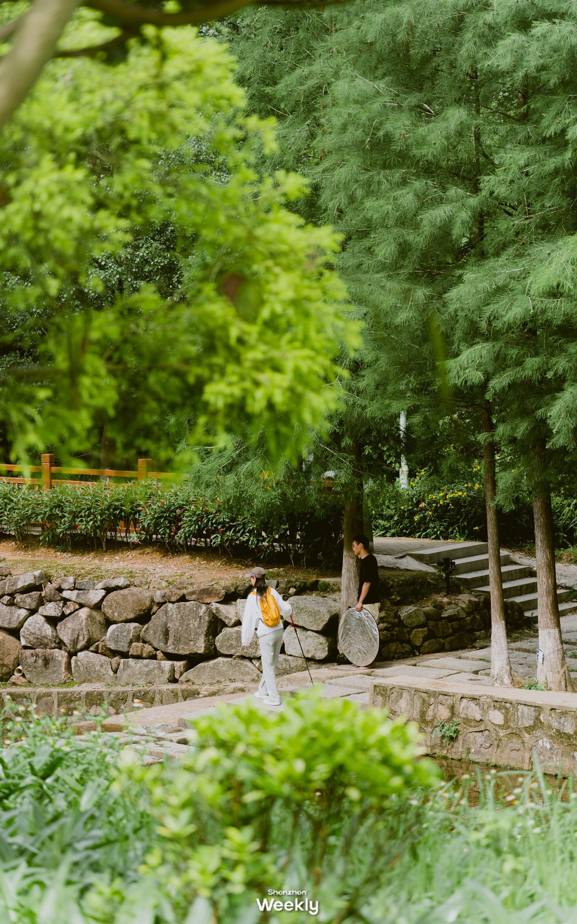 深圳坪山馬巒山郊野公園(ShenzhenWeekly授權使用) 深圳坪山馬巒山郊野公園(ShenzhenWeekly授權使用)