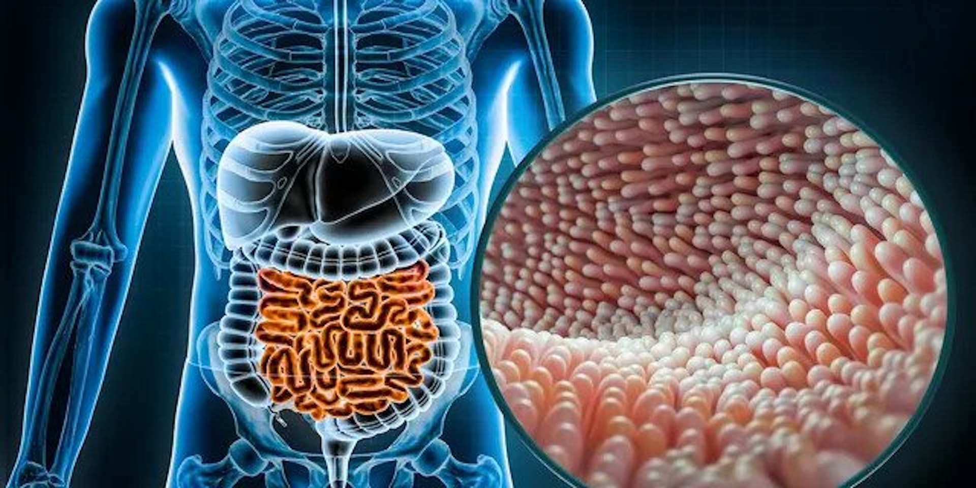 進食含豐富益生元的食物,可以促進微生物群的健康。(U.S.NEWS) 進食含豐富益生元的食物,可以促進微生物群的健康。(U.S.NEWS)