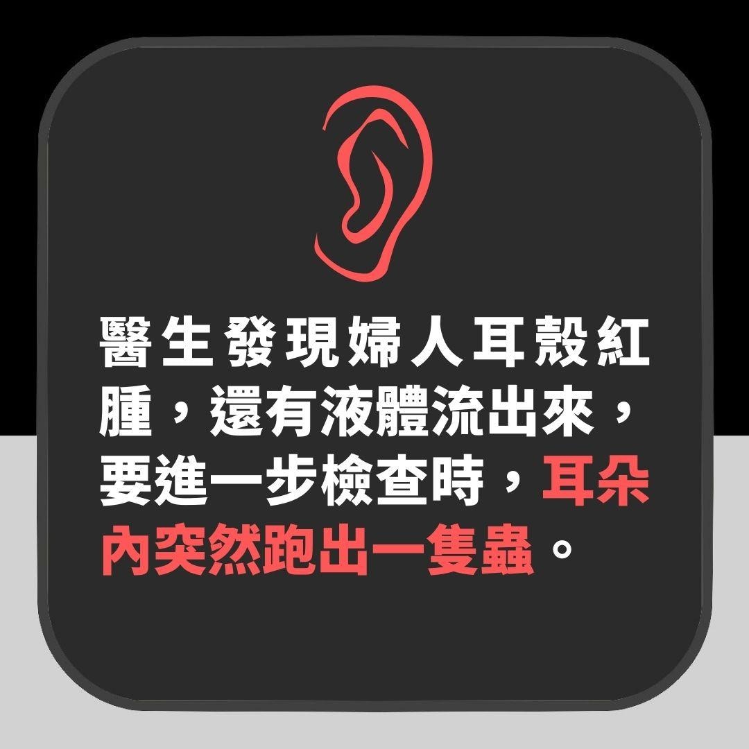 患語言障礙台婦手部遭限制行動　昆蟲入耳產卵無法趕走　下場駭人（01製圖）