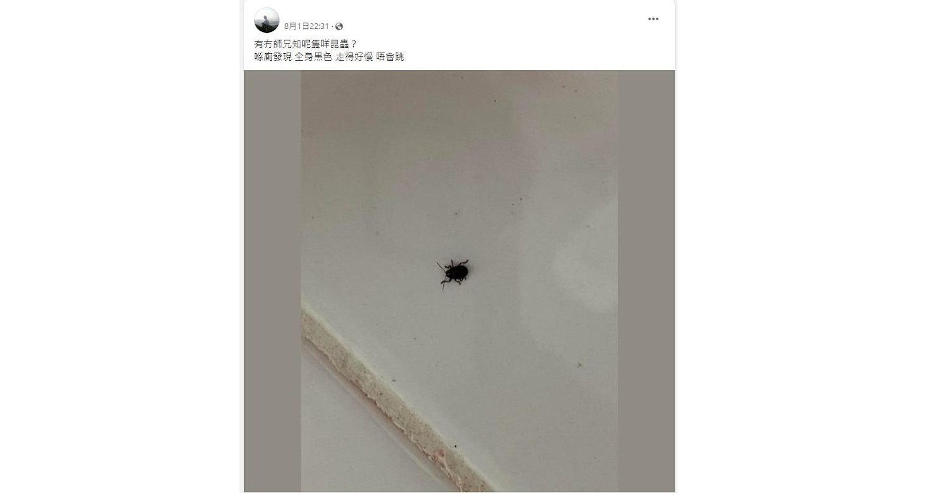 有網民帖文,表示家中疑似出現臭屁蟲。(圖片來源:Facebook專頁《香港滅蟲關注組》) 有網民帖文,表示家中疑似出現臭屁蟲。(圖片來源:Facebook專頁《香港滅蟲關注組》)