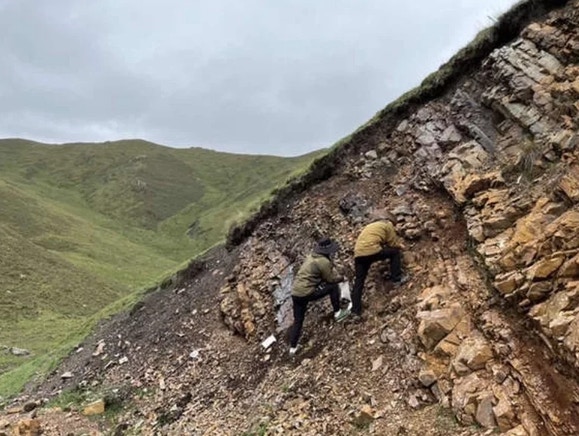 山东黄金原矿品位下调与成本上升分析：集团战略与短期影响评估