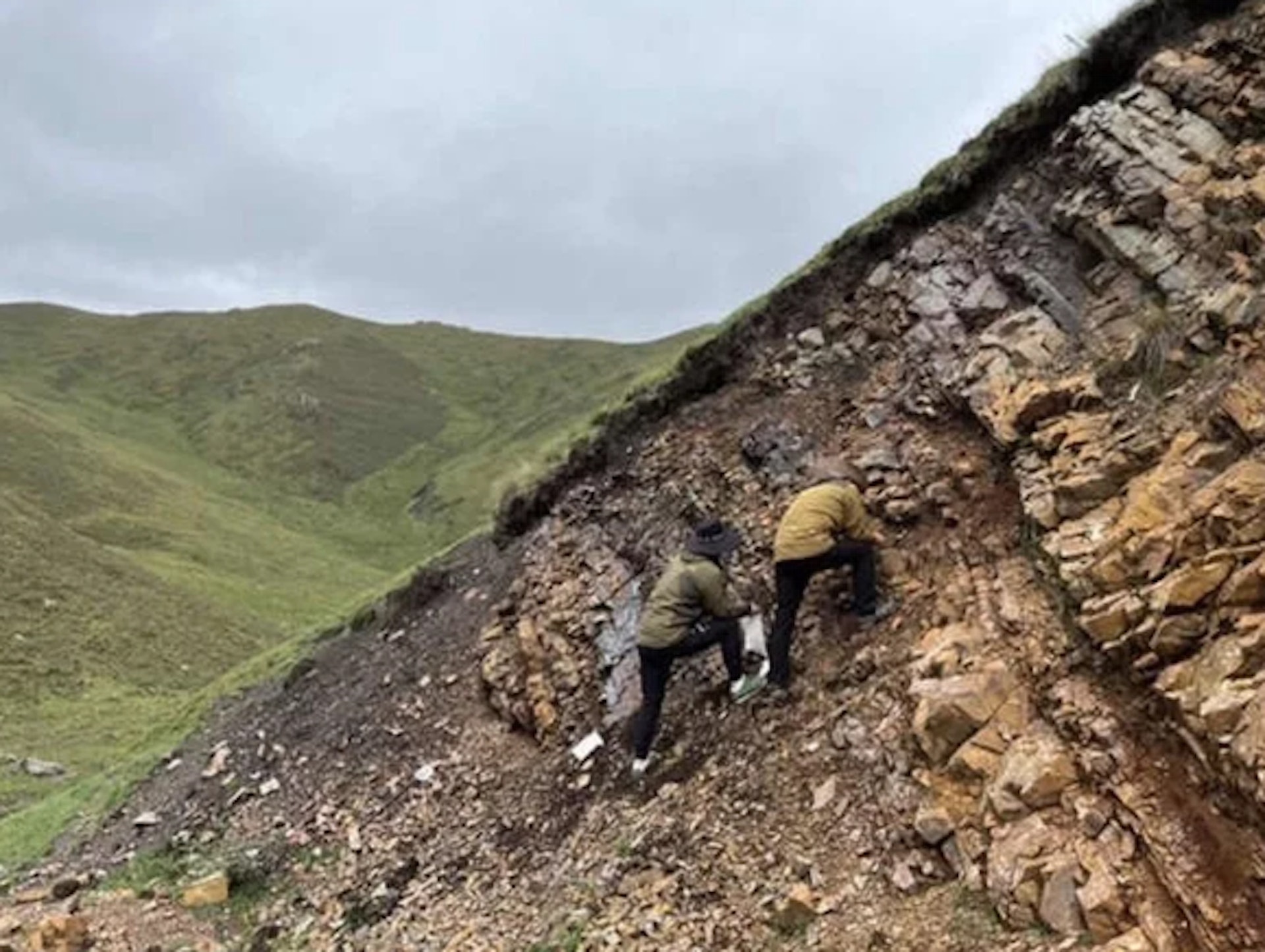 山东黄金原矿品位下调与成本上升分析:集团战略与短期影响评估