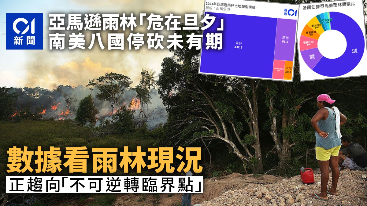 數據看:亞馬遜雨林走向危險臨界點 南美八國仍拒停止砍伐? 數據看:亞馬遜雨林走向危險臨界點 南美八國仍拒停止砍伐?