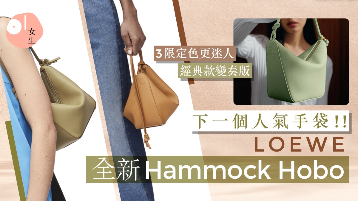 Loewe hobo sales