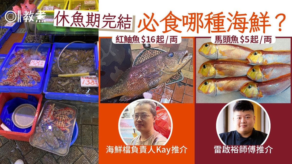 行街市｜休魚期完必吃紅鮋馬頭！最抵海中蝦$60份瀨尿蝦揀頸長？