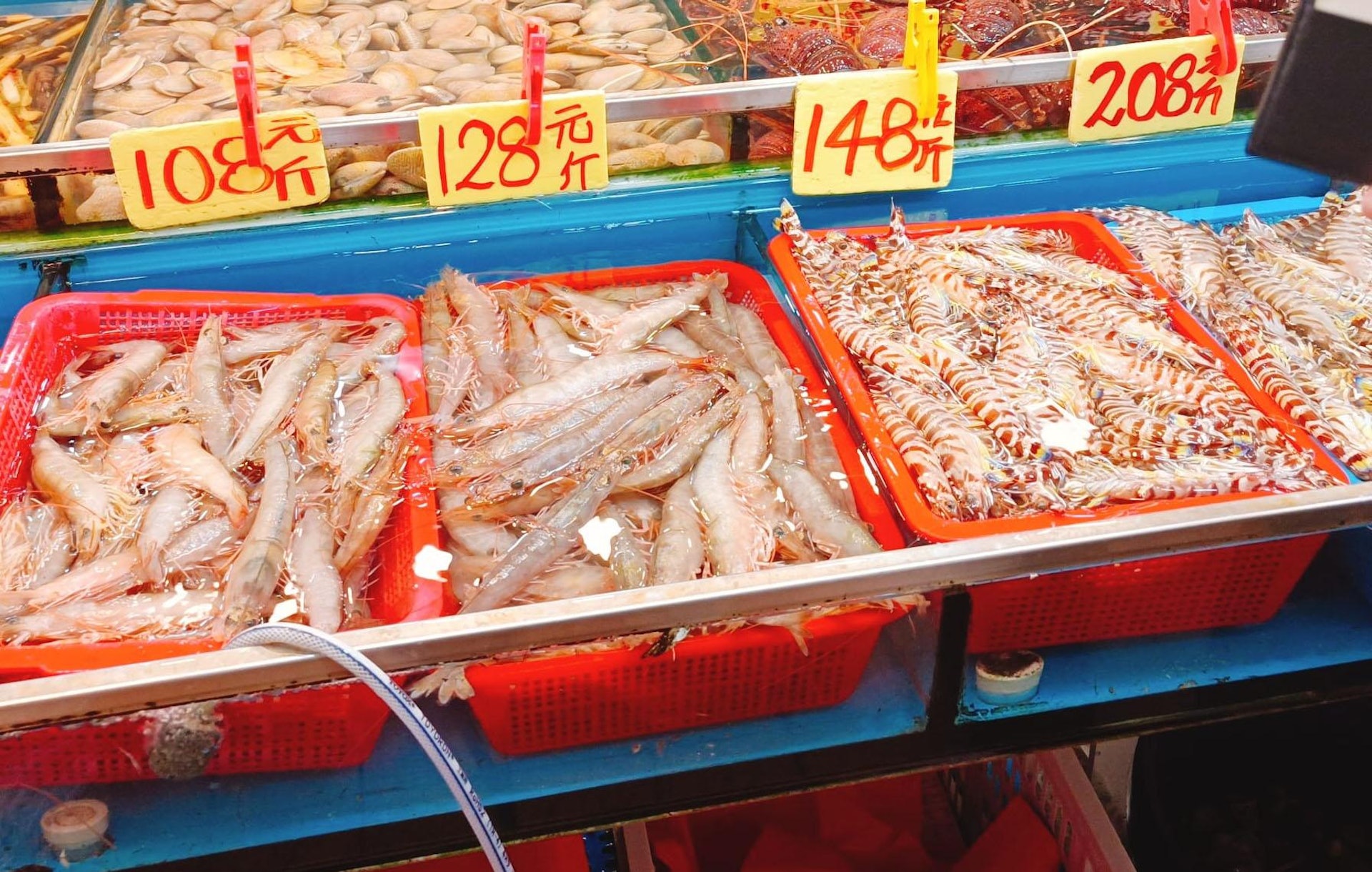 中型的花竹蝦最便宜$148/斤就有交易。(香港街市魚類海鮮研究社) 中型的花竹蝦最便宜$148/斤就有交易。(香港街市魚類海鮮研究社)