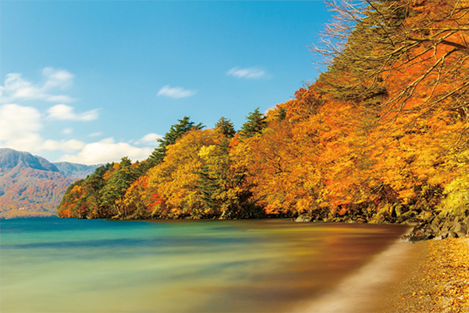 十和田湖紅葉(圖片來源:翔笙旅行社股份有限公司) 十和田湖紅葉(圖片來源:翔笙旅行社股份有限公司)