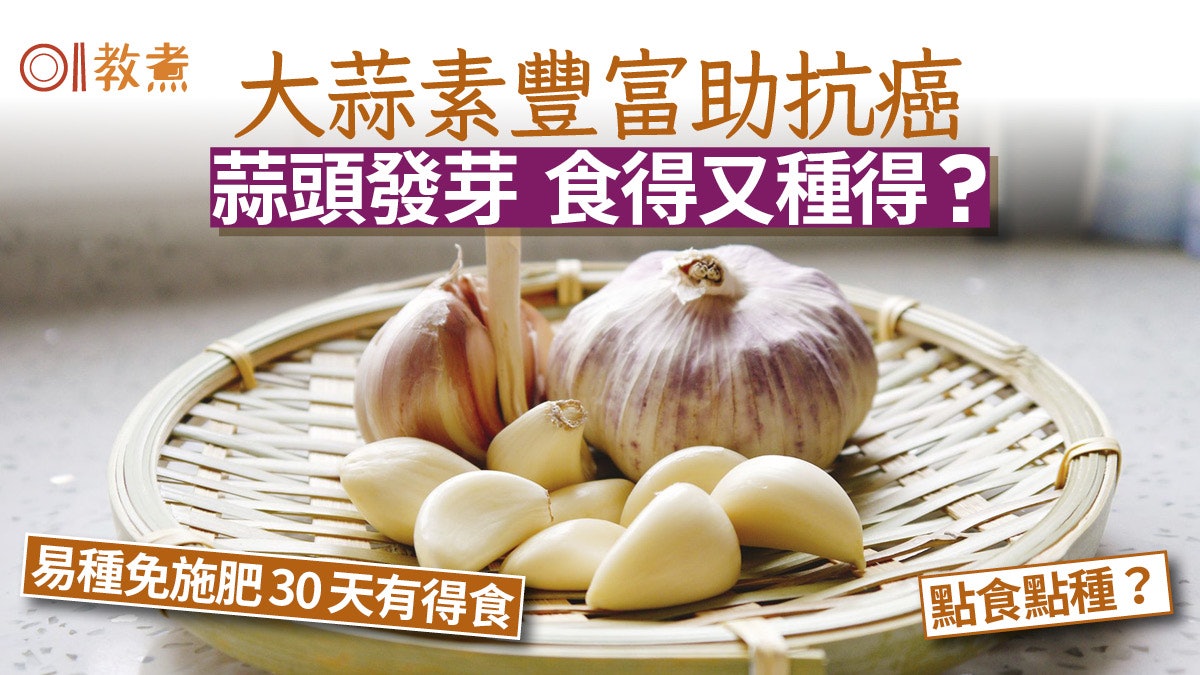 蒜頭發芽|蒜頭助抗癌發芽食得又種得 蒜苗易種免施肥點種點食? 蒜頭發芽|蒜頭助抗癌發芽食得又種得 蒜苗易種免施肥點種點食?