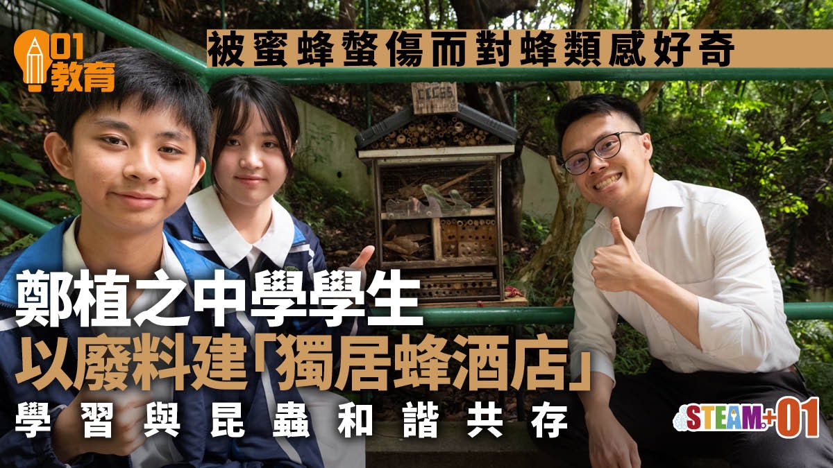 STEAM|鄭植之中學學生以廢料製獨居蜂酒店 學習與昆蟲和諧共存 STEAM|鄭植之中學學生以廢料製獨居蜂酒店 學習與昆蟲和諧共存