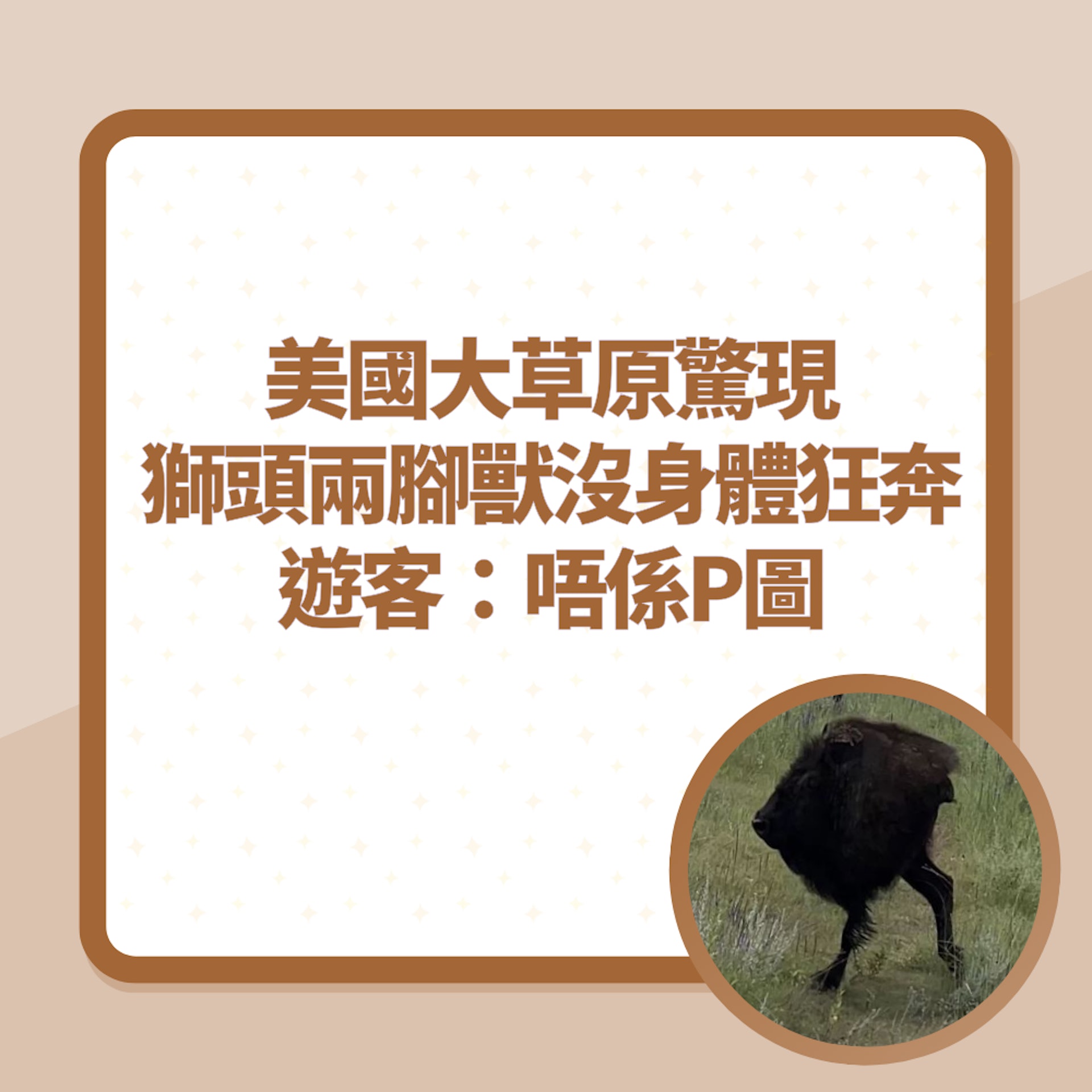 美國大草原驚現獅頭兩腳獸沒身體狂奔 遊客:唔係P圖(01製圖/截圖) 美國大草原驚現獅頭兩腳獸沒身體狂奔 遊客:唔係P圖(01製圖/截圖)