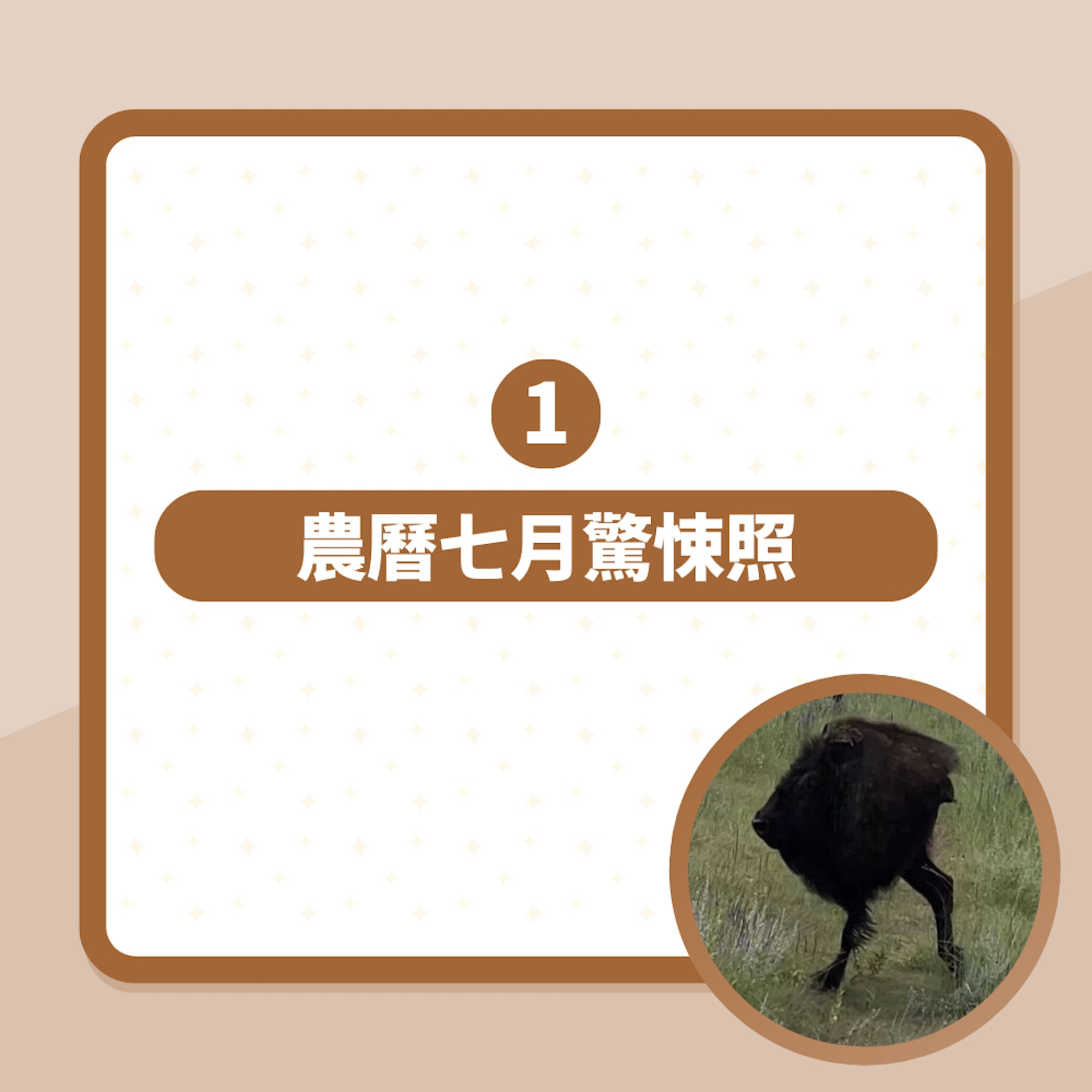 美國大草原驚現獅頭兩腳獸沒身體狂奔 遊客:唔係P圖(01製圖/截圖) 美國大草原驚現獅頭兩腳獸沒身體狂奔 遊客:唔係P圖(01製圖/截圖)
