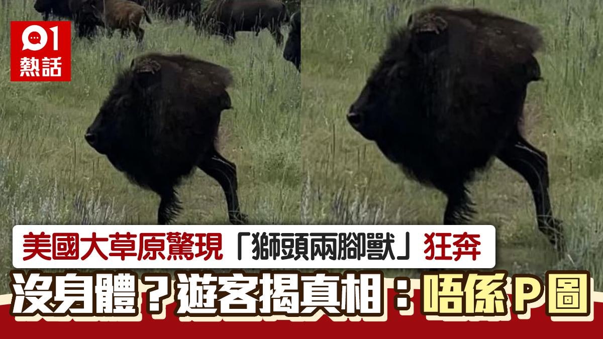美國大草原驚現「獅頭兩腳獸」沒身體狂奔 遊客揭真相:唔係P圖 美國大草原驚現「獅頭兩腳獸」沒身體狂奔 遊客揭真相:唔係P圖