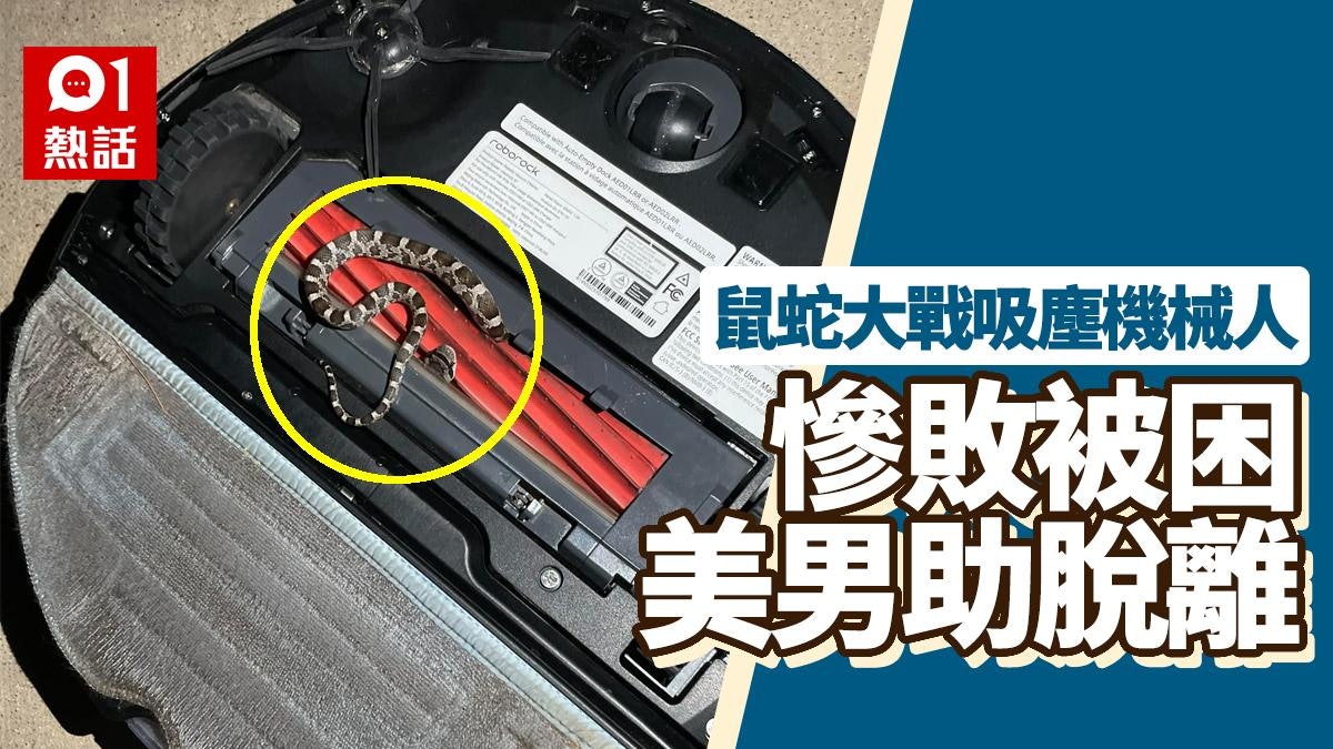 機械人吸塵變吸蛇?鼠蛇被困滾輪桿動彈不得 美國男好心助蛇脫身 機械人吸塵變吸蛇?鼠蛇被困滾輪桿動彈不得 美國男好心助蛇脫身