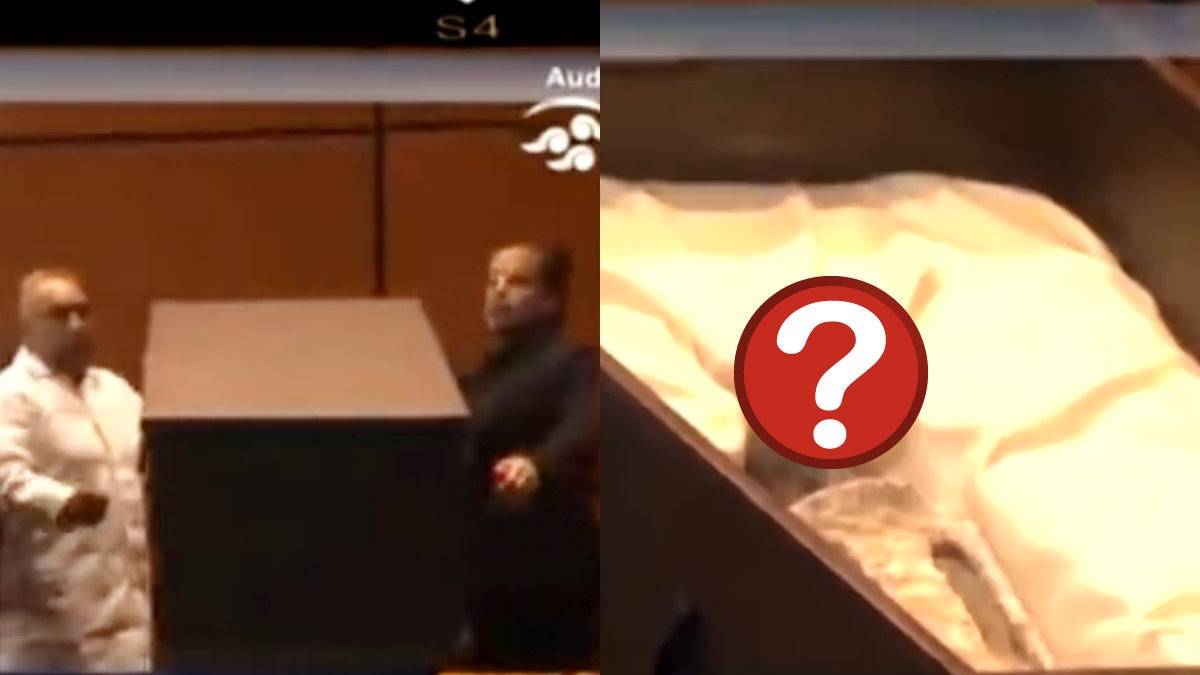 墨西哥外星人屍體曝光　腹部有3顆卵　專家：千年前訪地球
