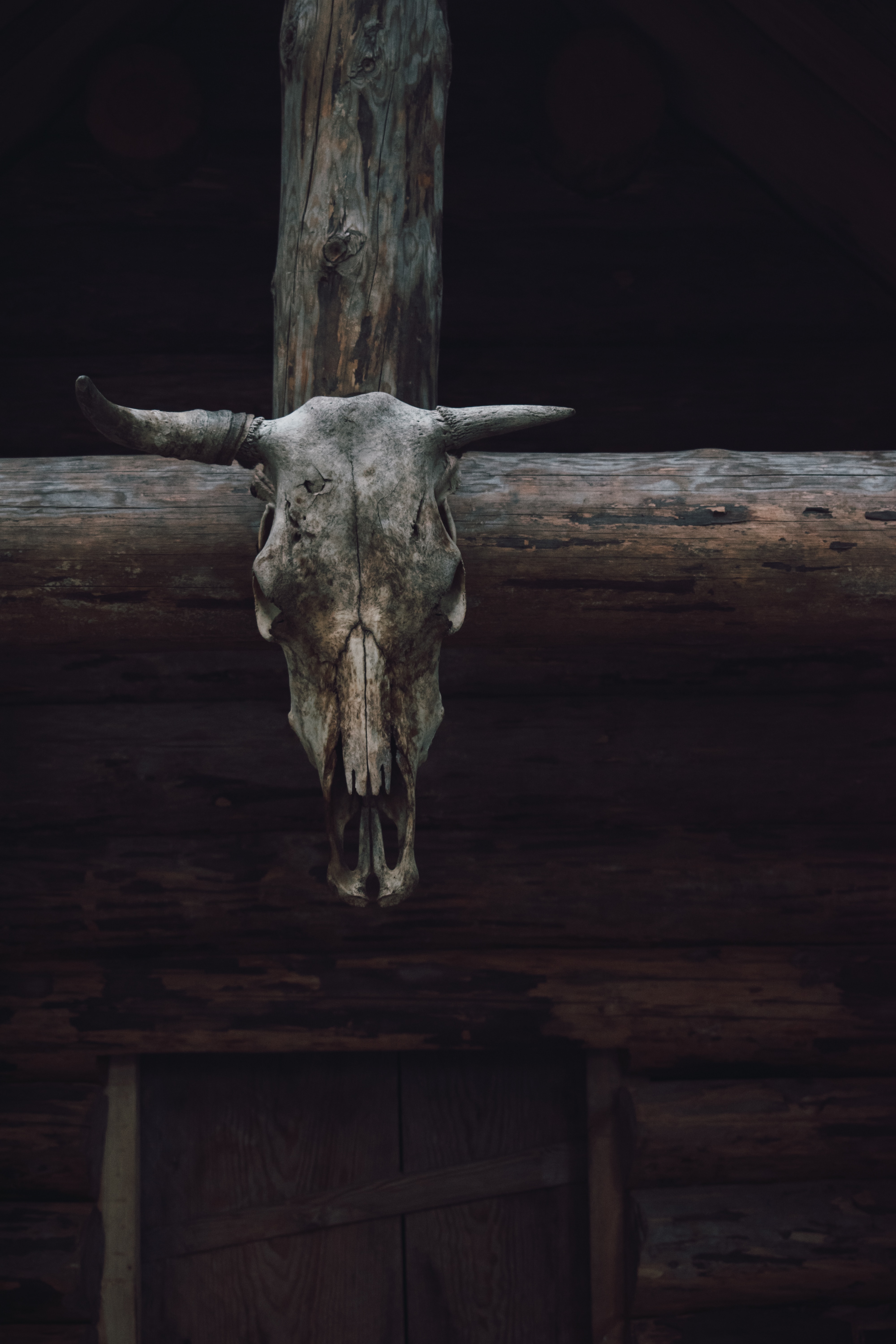 示意圖（artem-maltsev/Unsplash）