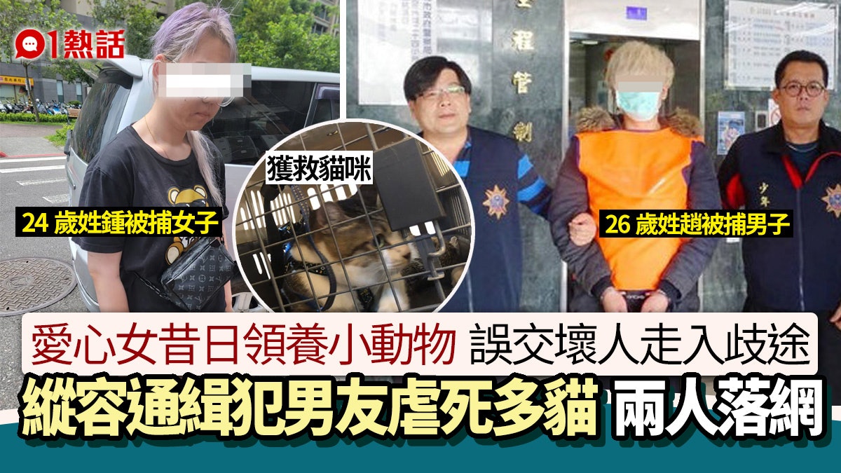 情侶虐畜!愛心台女被帶壞 偕通緝犯男友吸毒 縱容伴侶虐死多貓 情侶虐畜!愛心台女被帶壞 偕通緝犯男友吸毒 縱容伴侶虐死多貓