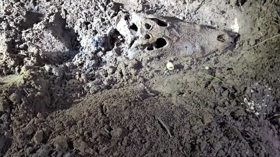 茂名養殖場71條出逃鱷魚全數尋回 其中2條早年已被宰殺掩埋 茂名養殖場71條出逃鱷魚全數尋回 其中2條早年已被宰殺掩埋