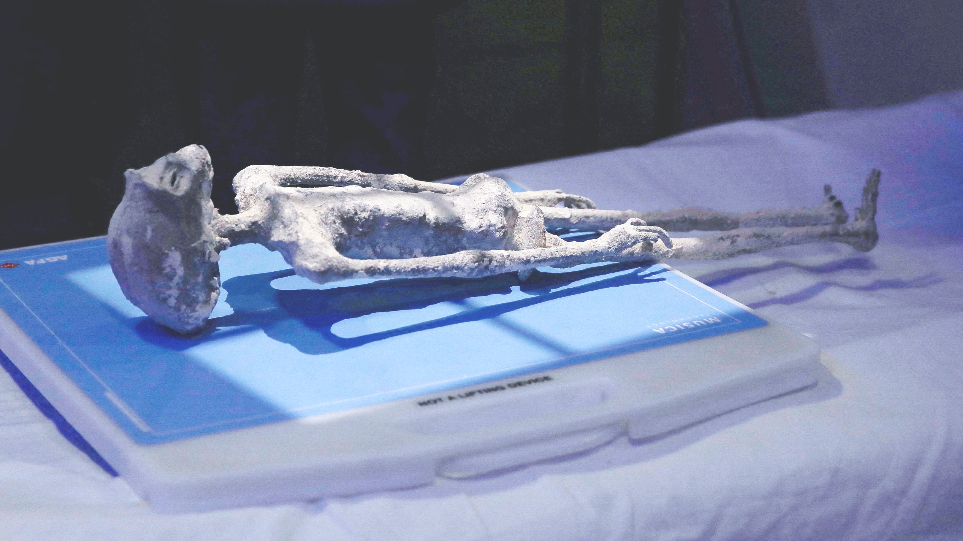 Dbr_msojSg2Bwk4TDh52F0GVYMdnwq