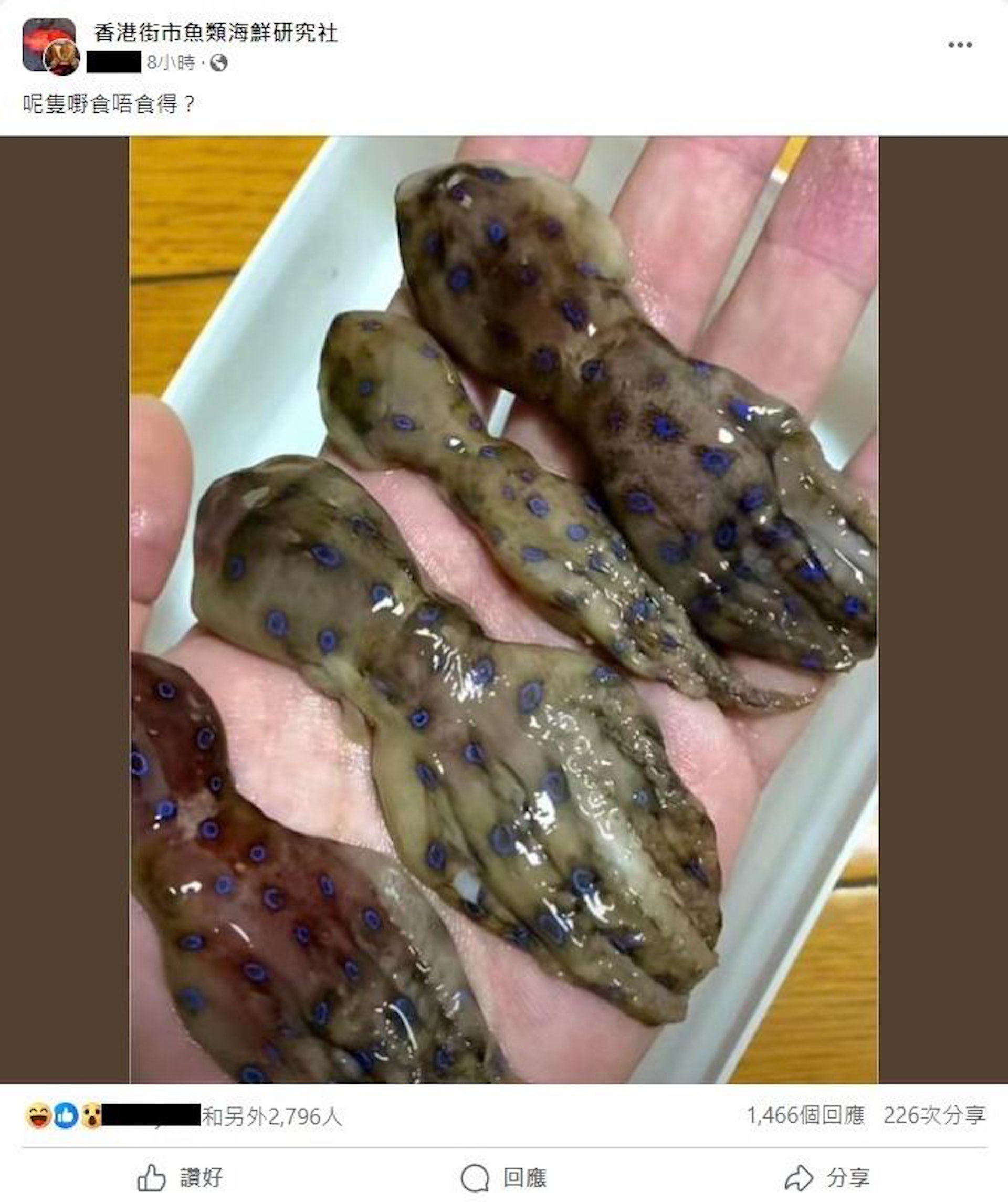 網民發藍環章魚相問食唔食得(Facebook香港街市魚類海鮮研究社) 網民發藍環章魚相問食唔食得(Facebook香港街市魚類海鮮研究社)