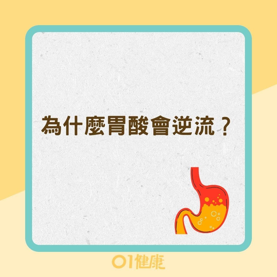 為什麼胃酸會逆流？（01製圖）