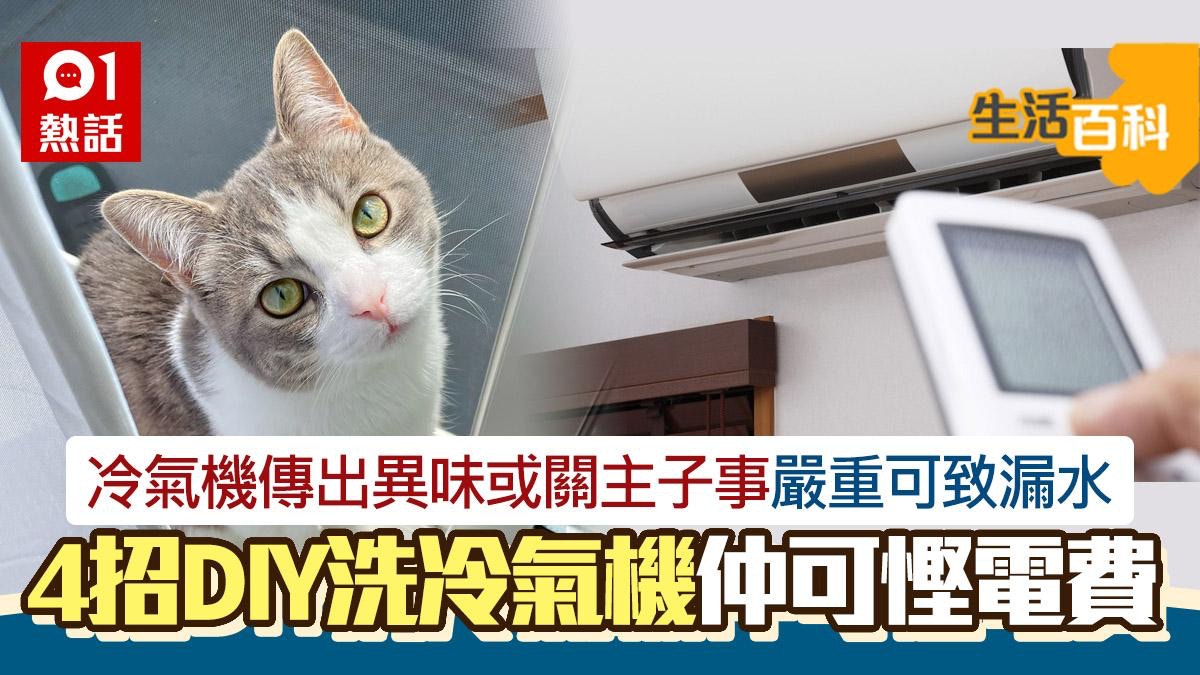 冷氣機傳異味關主子事？暗藏6百萬細菌　裝修佬4招洗機｜生活百科