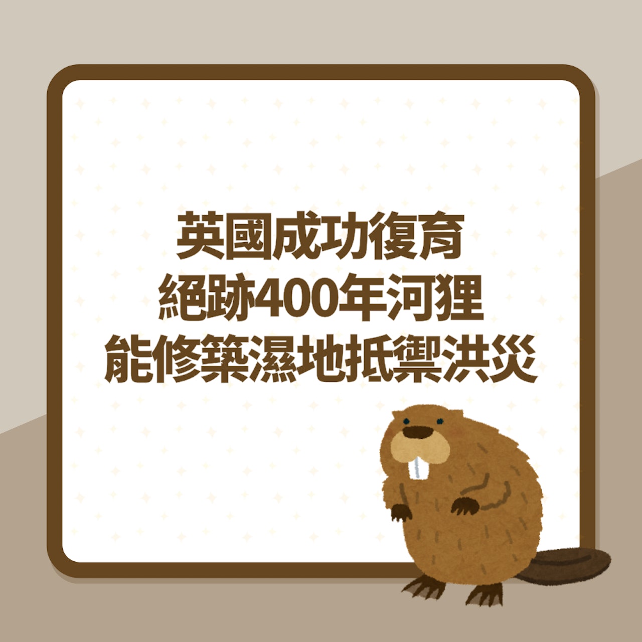 防洪全靠「牠」!英國復育絕跡400年小動物 能修築濕地抵禦洪災(01製圖) 防洪全靠「牠」!英國復育絕跡400年小動物 能修築濕地抵禦洪災(01製圖)