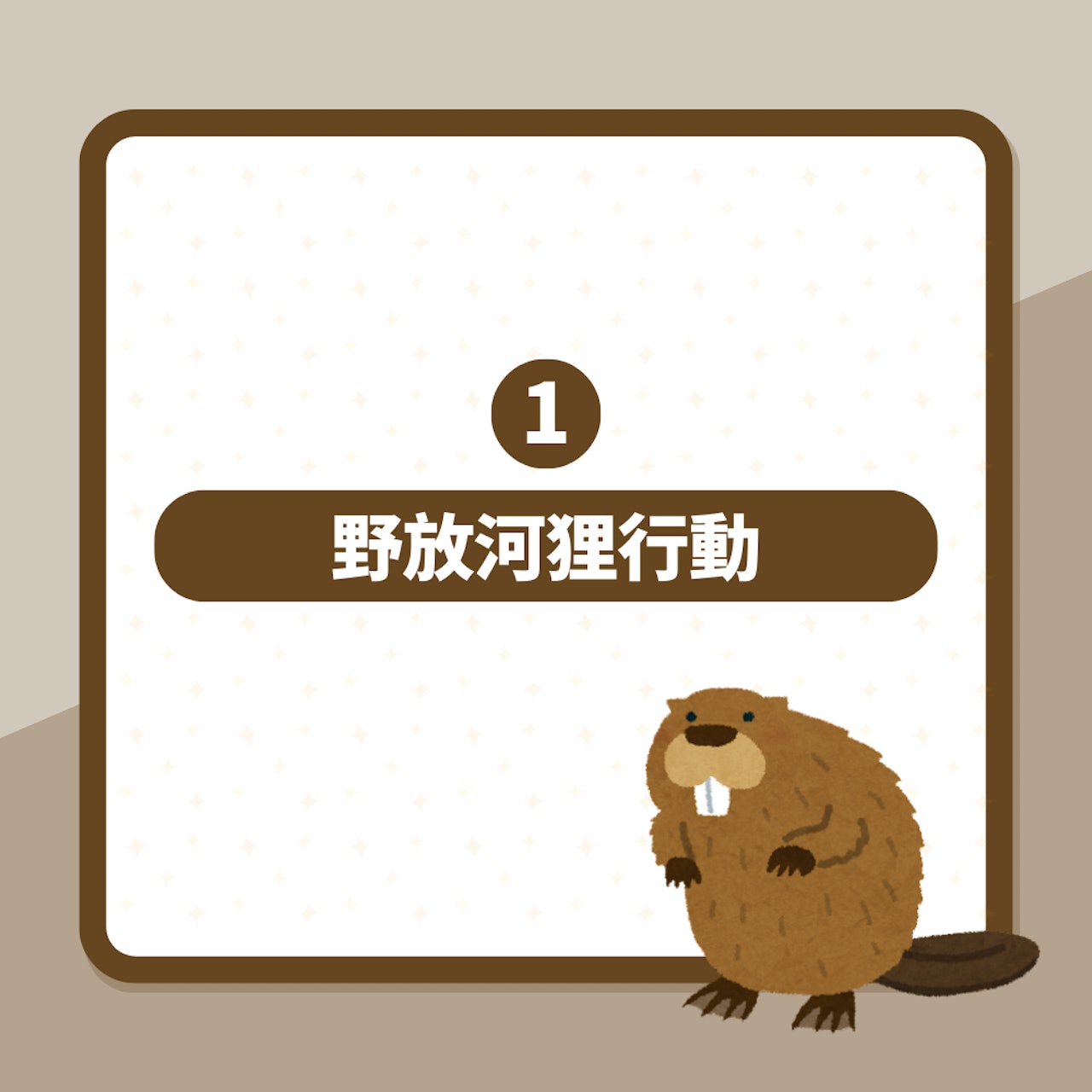 防洪全靠「牠」!英國復育絕跡400年小動物 能修築濕地抵禦洪災(01製圖) 防洪全靠「牠」!英國復育絕跡400年小動物 能修築濕地抵禦洪災(01製圖)