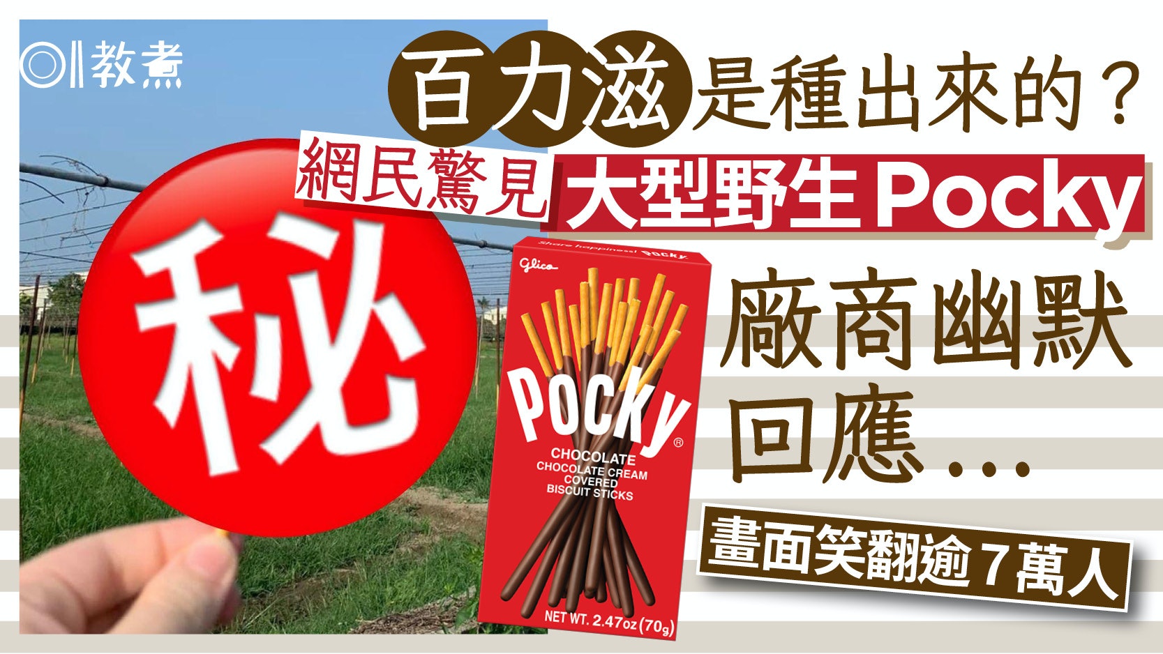 百力滋種出來?驚現大型野生Pocky畫面笑翻7萬網民 廠商幽默回應 百力滋種出來?驚現大型野生Pocky畫面笑翻7萬網民 廠商幽默回應