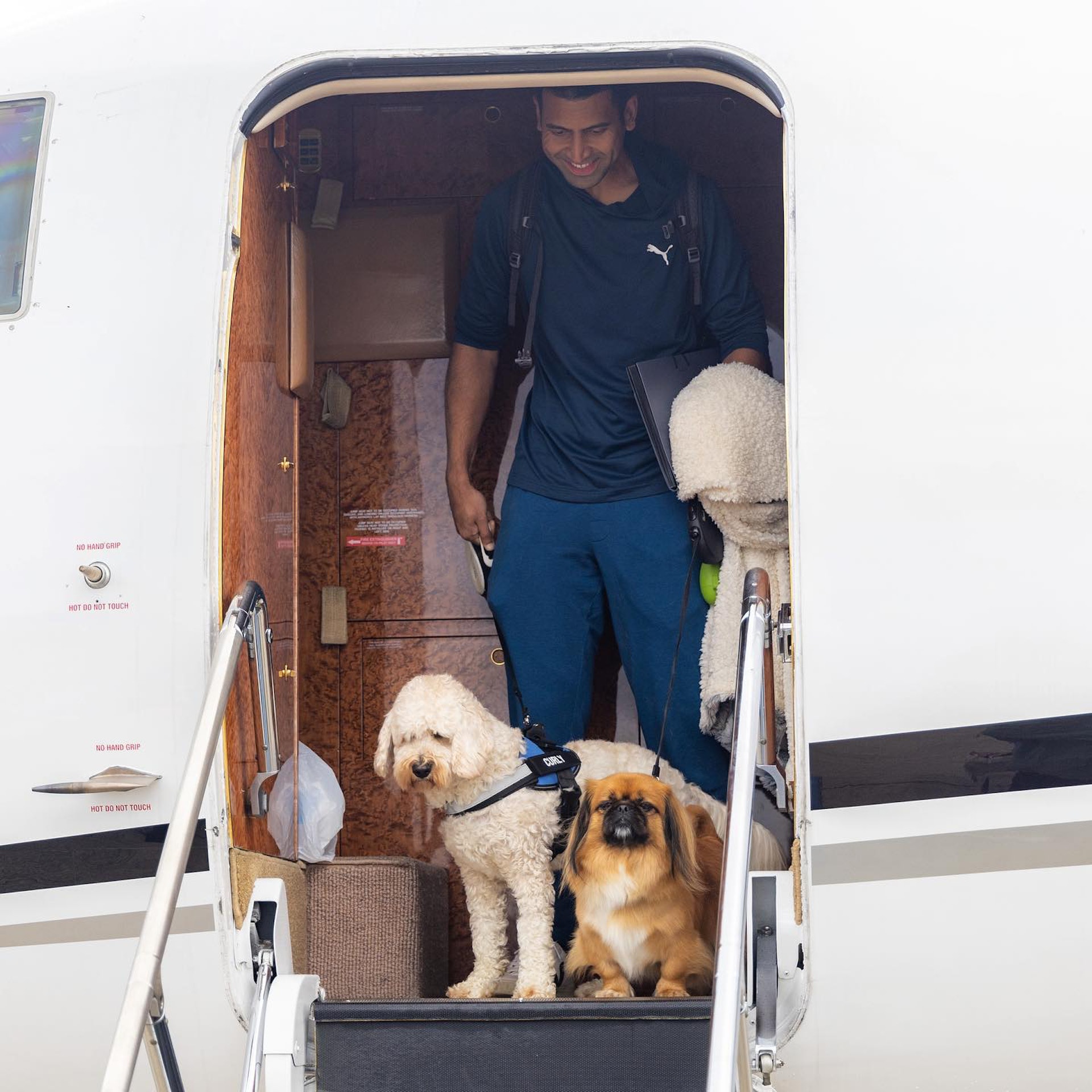 K9 Jets開通了為狗狗提供座位的新航線。(IG@k9jets_) K9 Jets開通了為狗狗提供座位的新航線。(IG@k9jets_)