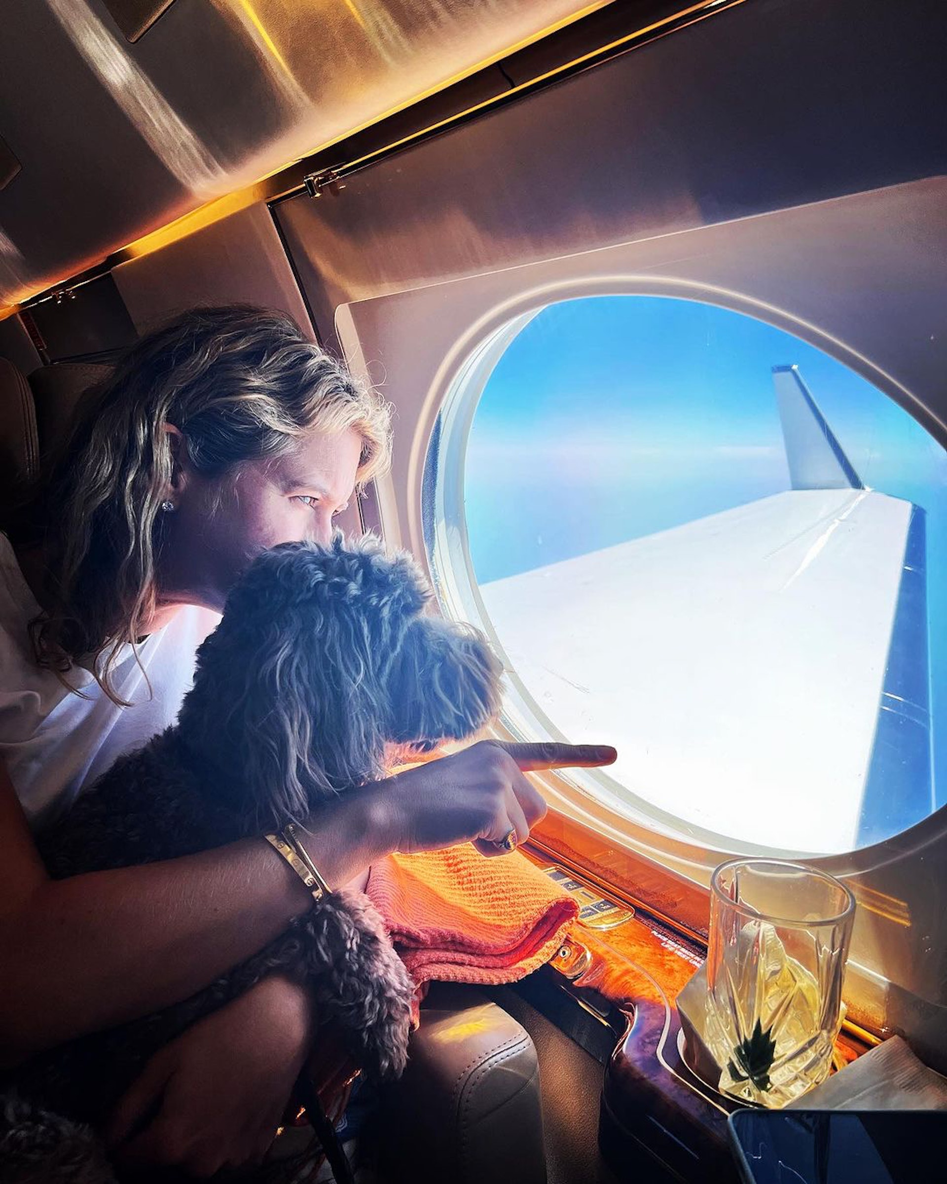 K9 Jets開通了為狗狗提供座位的新航線。(IG@k9jets_) K9 Jets開通了為狗狗提供座位的新航線。(IG@k9jets_)