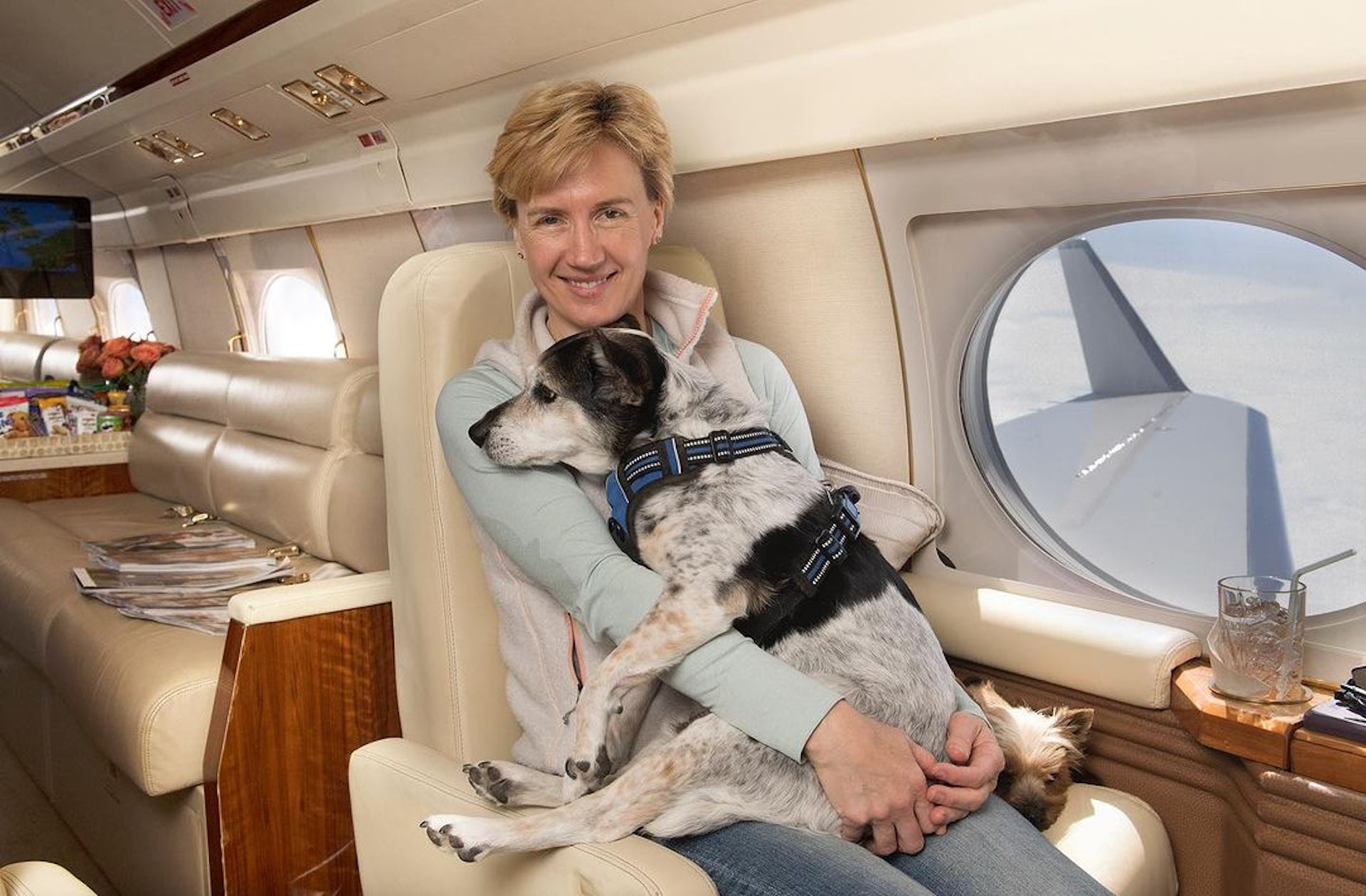 K9 Jets開通了為狗狗提供座位的新航線。(IG@k9jets_) K9 Jets開通了為狗狗提供座位的新航線。(IG@k9jets_)