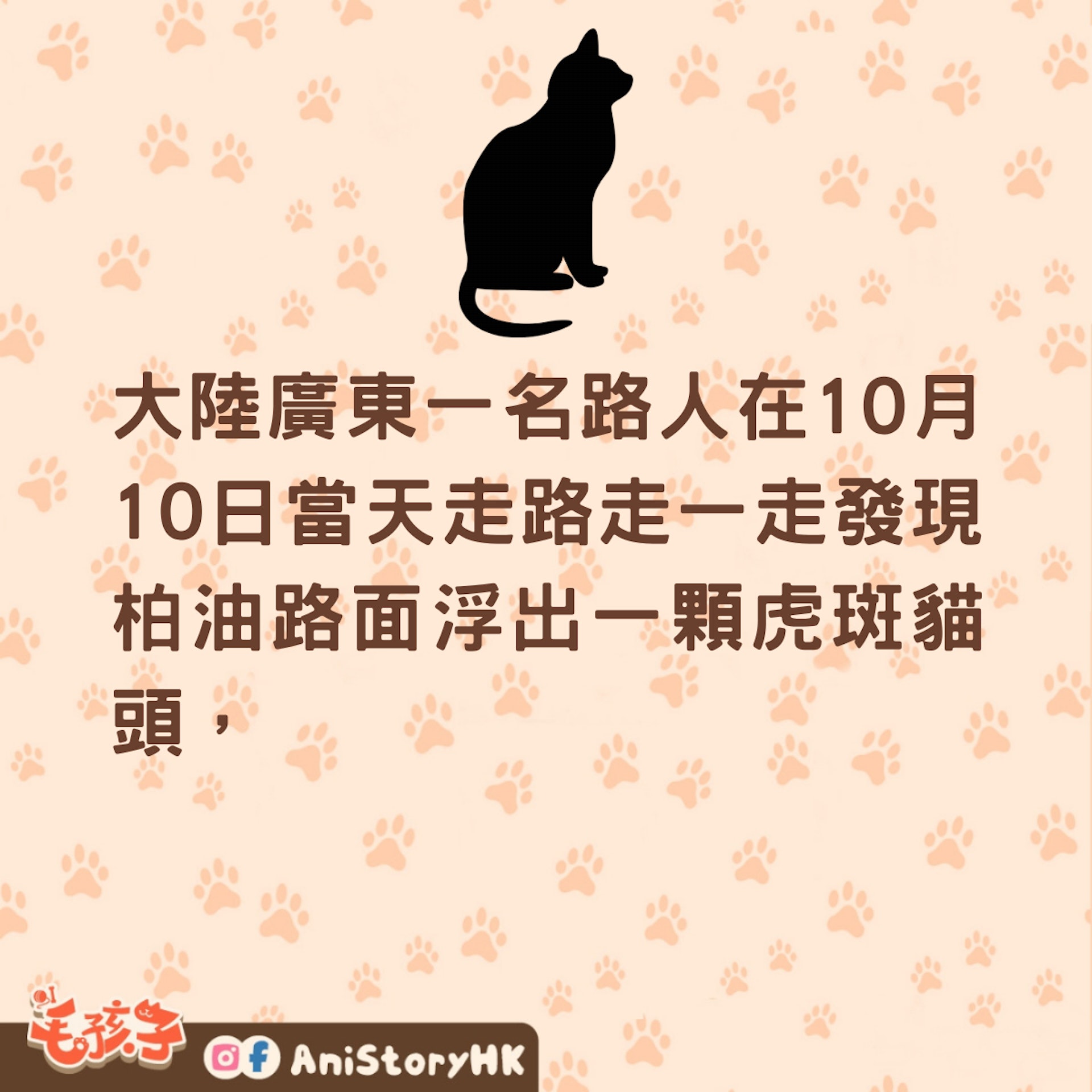 一名路人在路上走一走發現柏油路「長出一顆貓頭」,那顆貓頭還一動也不動,場面非常駭人,看起來就像是貓咪被斬首丟在路邊,路人過去想要救貓咪,這才發現原來貓咪是因為太胖卡在下水道口出不來,立刻協助牠脫困並當場收編。 (tiktok@candy姐) 一名路人在路上走一走發現柏油路「長出一顆貓頭」,那顆貓頭還一動也不動,場面非常駭人,看起來就像是貓咪被斬首丟在路邊,路人過去想要救貓咪,這才發現原來貓咪是因為太胖卡在下水道口出不來,立刻協助牠脫困並當場收編。 (tiktok@candy姐)